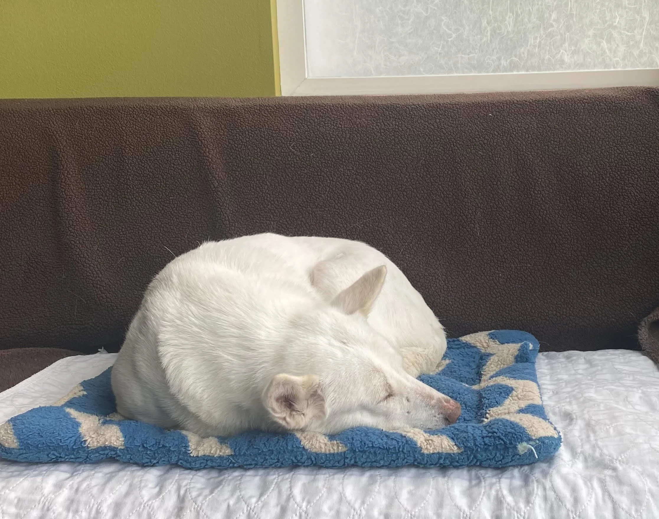 Creating a Care Station