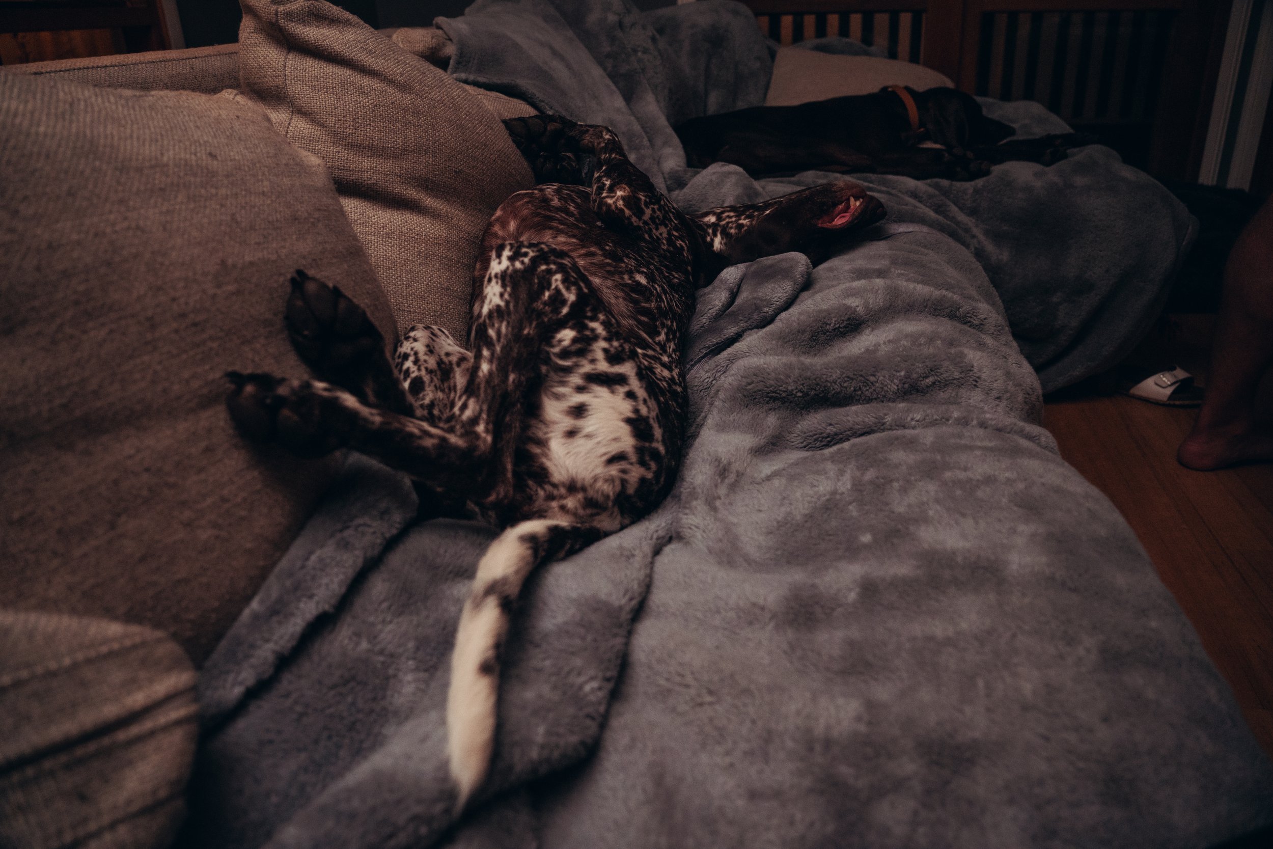 220126SarahHB50.jpg