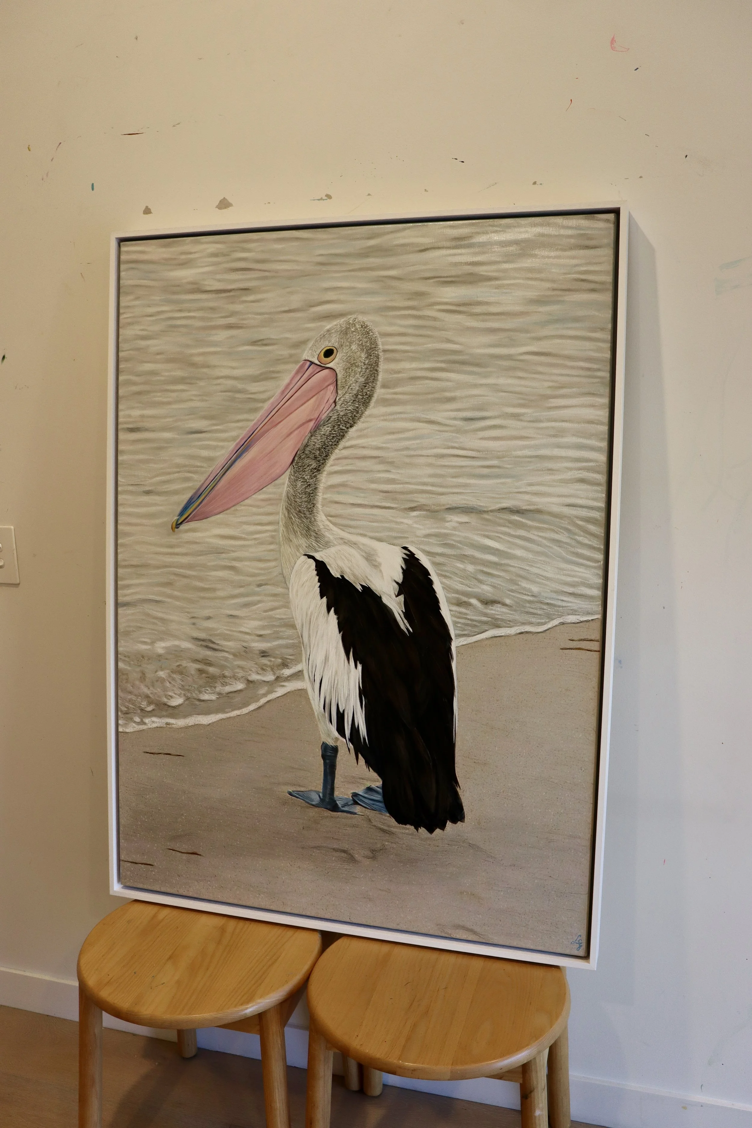 Placid Pelican At Dusk