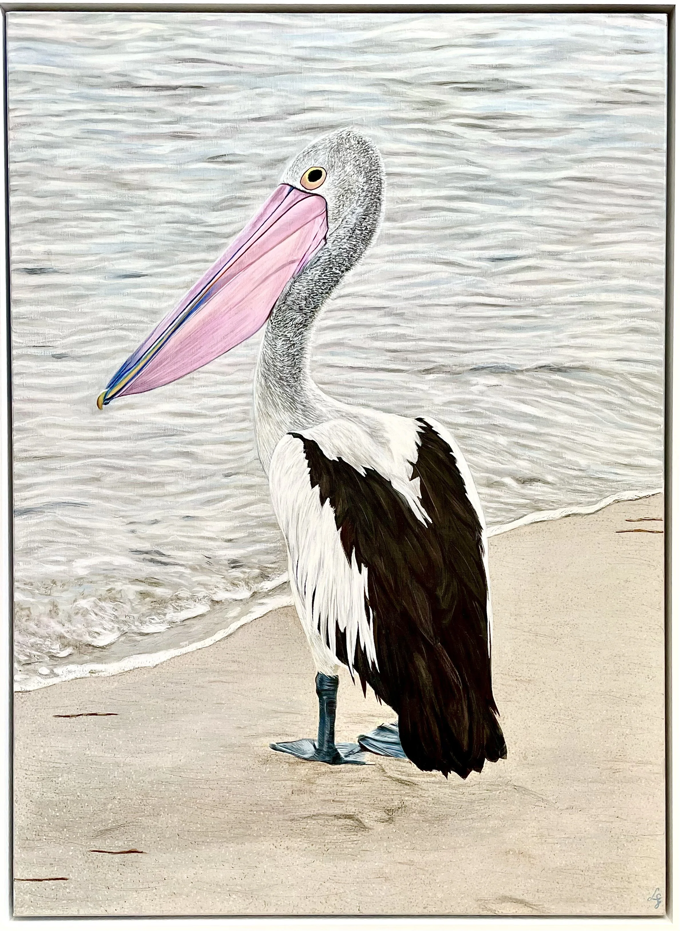 Placid Pelican At Dusk