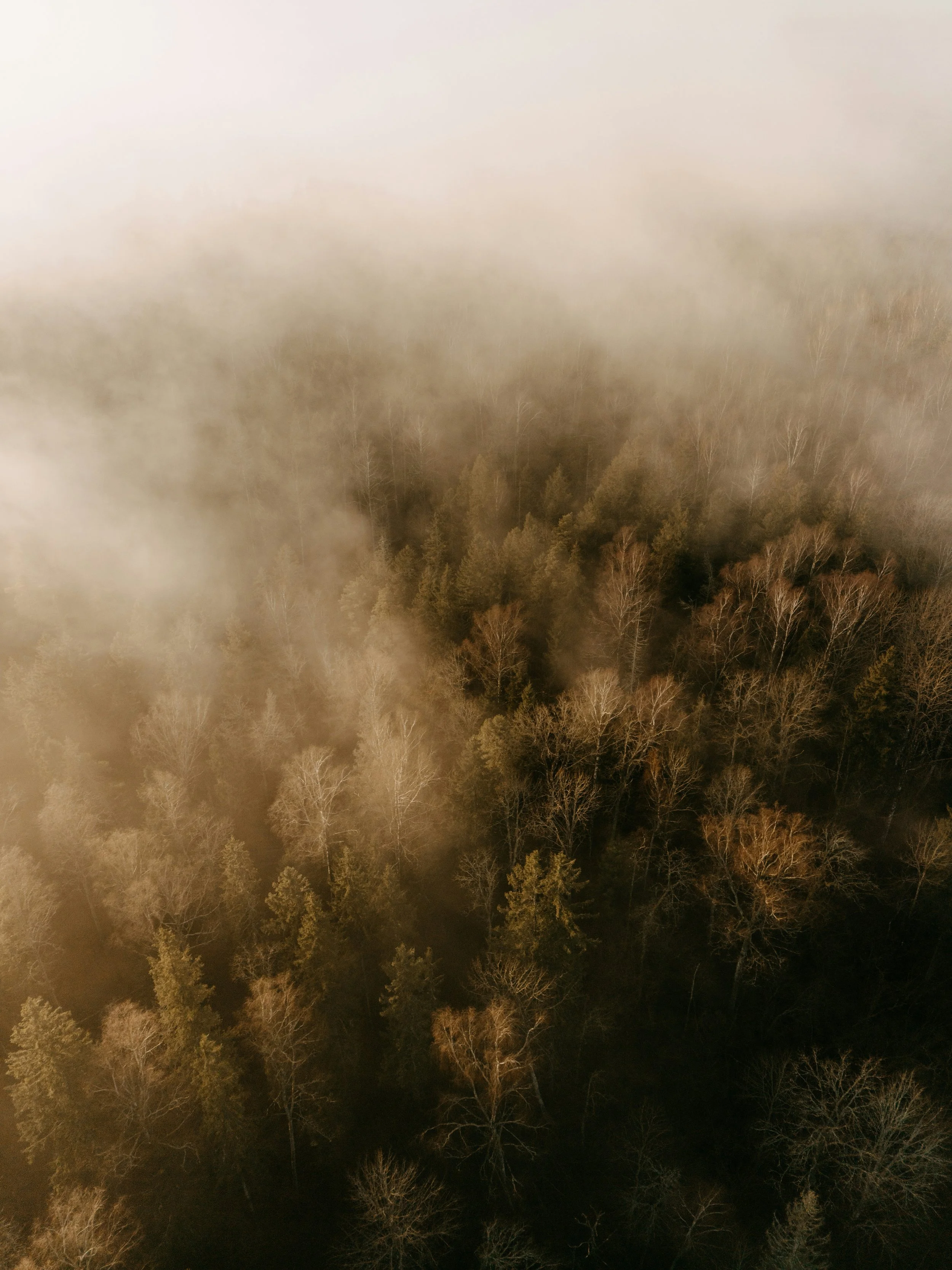 My biggest mistake in 2025.