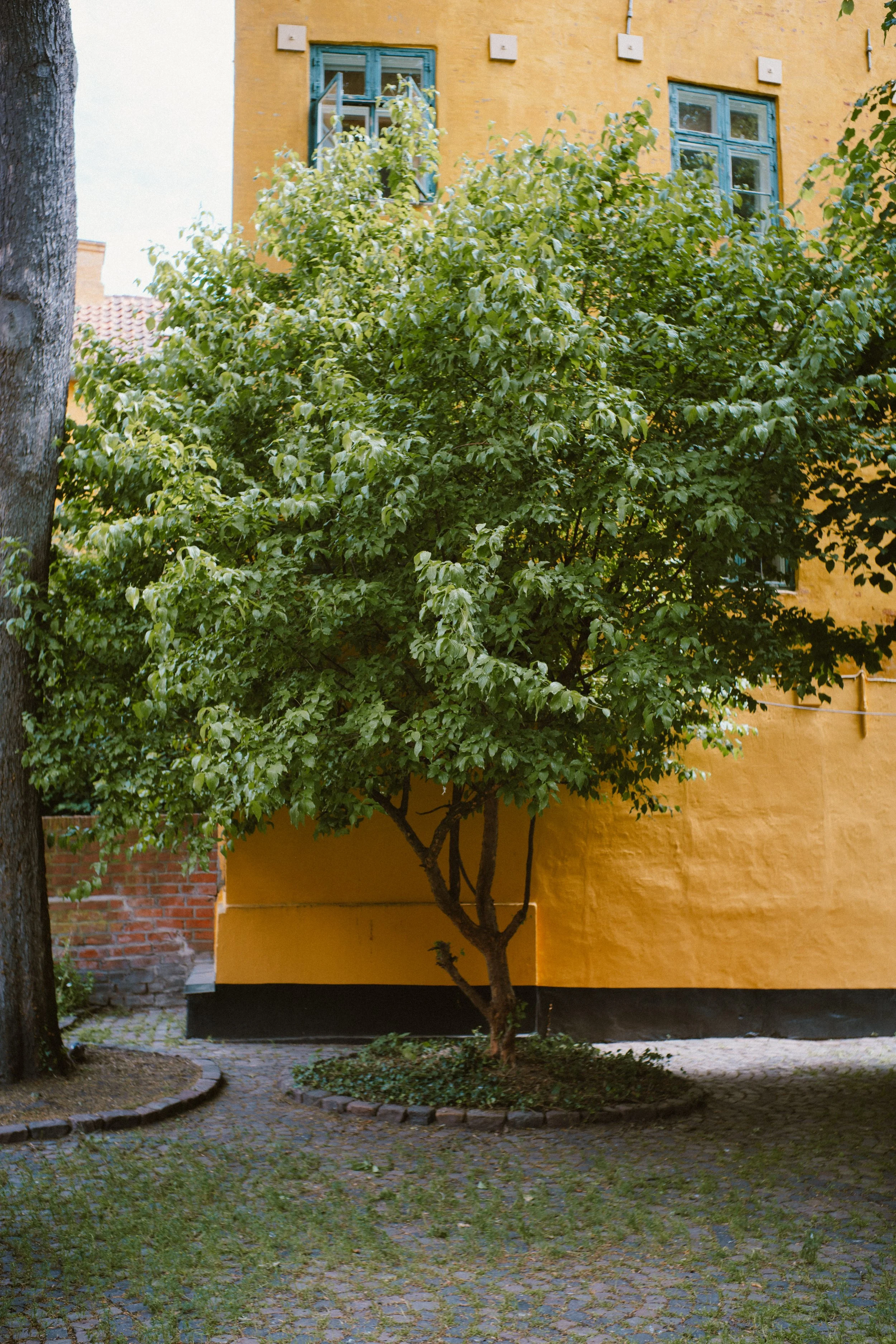 Copenhagen_Mandler35_Full (1 of 1)-9.jpg