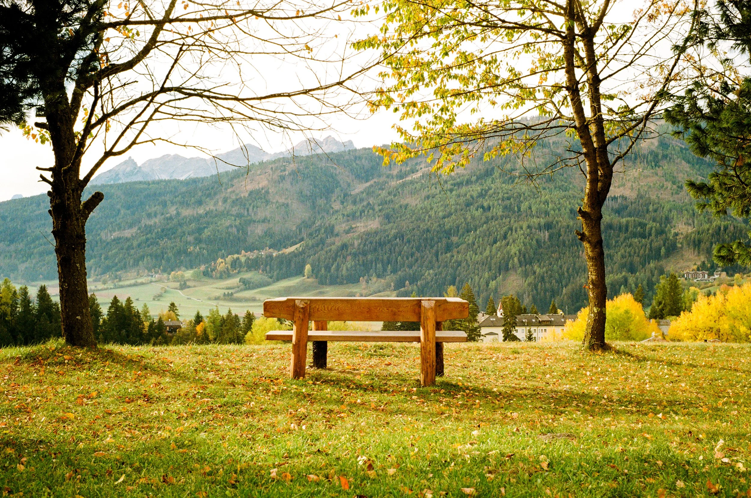 Dolomites_Fall_M6 (1 of 1)-12.jpg
