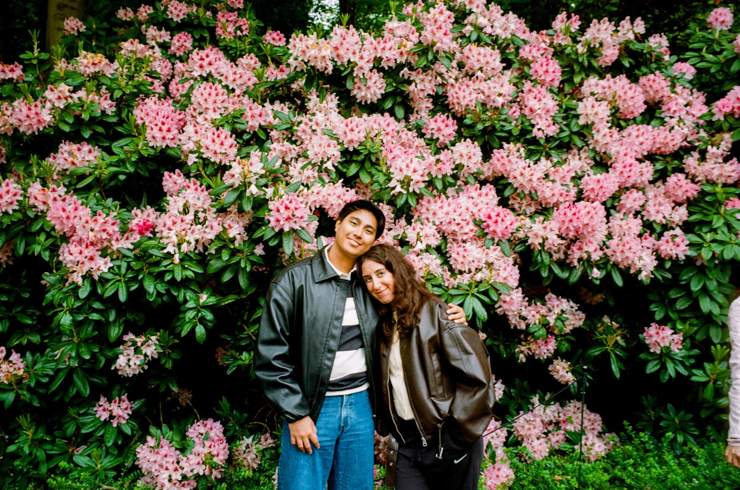 Tulips_LeicaM6_Full (1 of 1)-10.JPEG