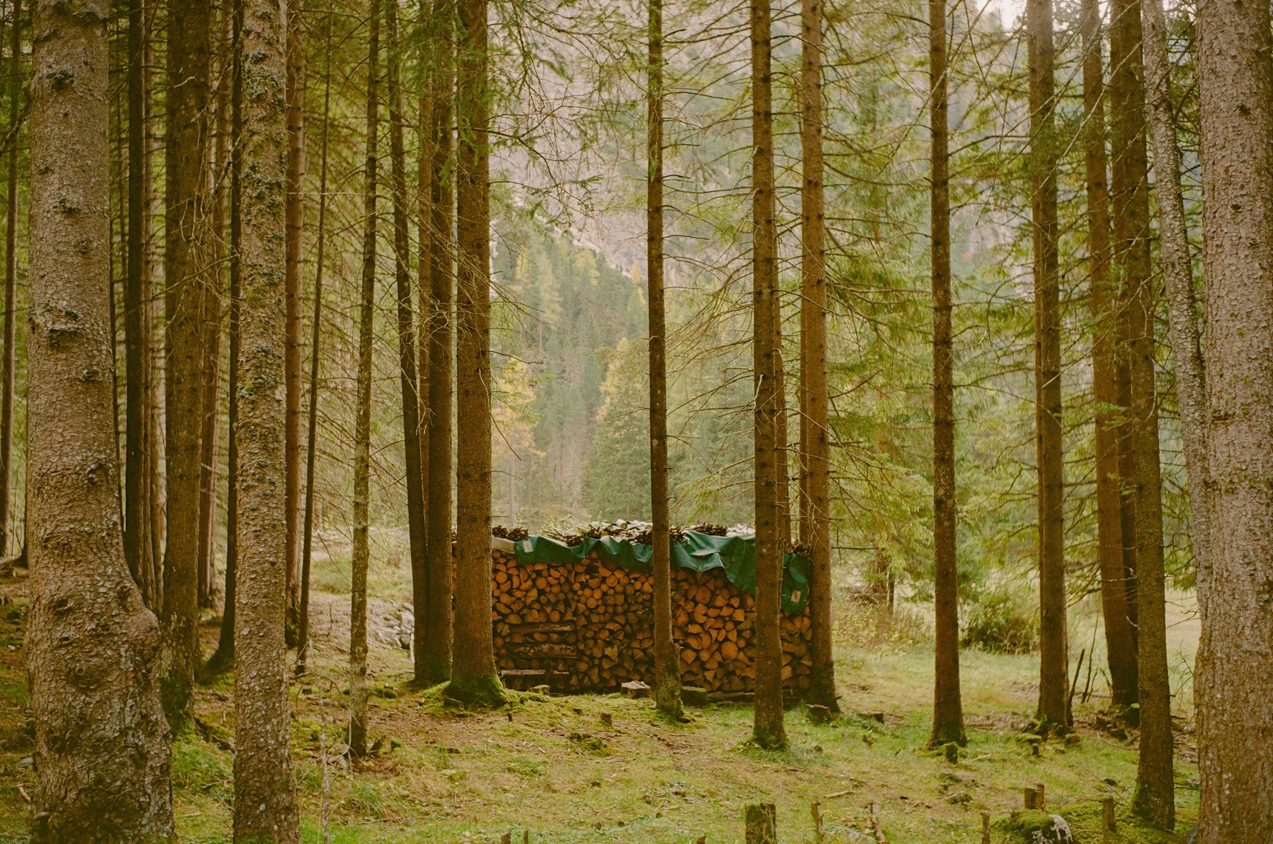 Dolomites_M6_Gold200 (1 of 1)-4.jpg
