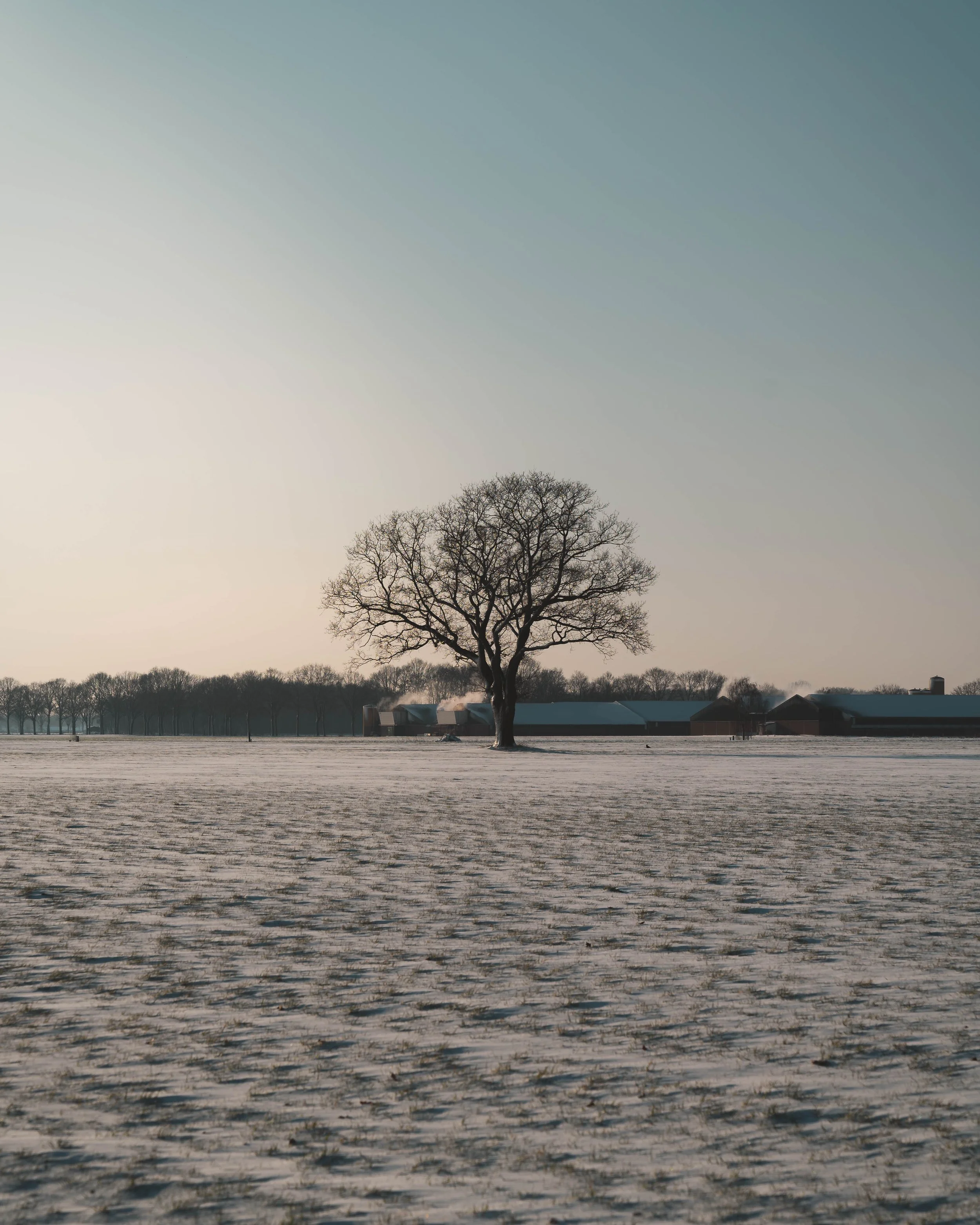 Netherlands_Snow_2021 (1 of 1)-2.jpg