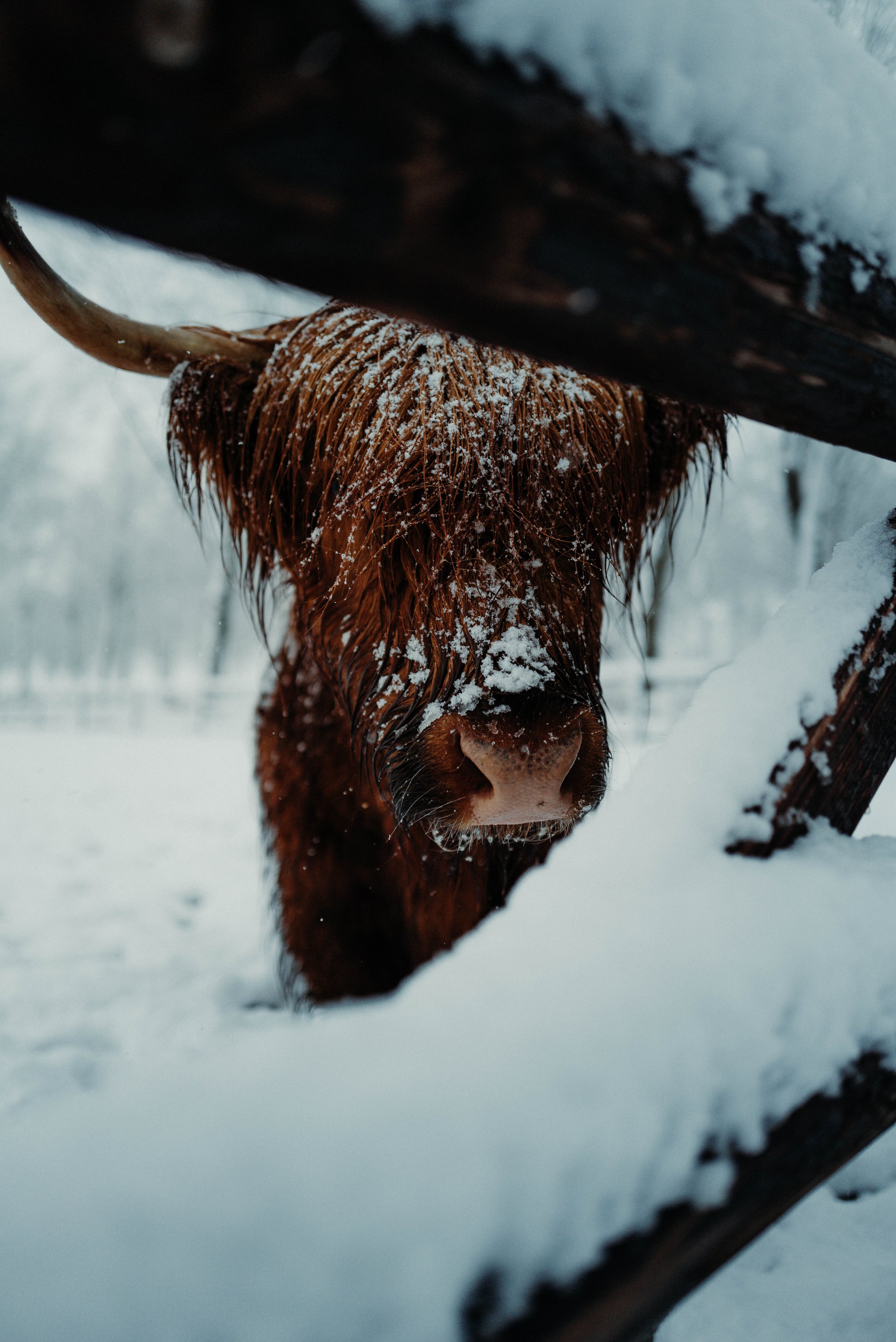 Leica_Q2 (1 of 2).jpg