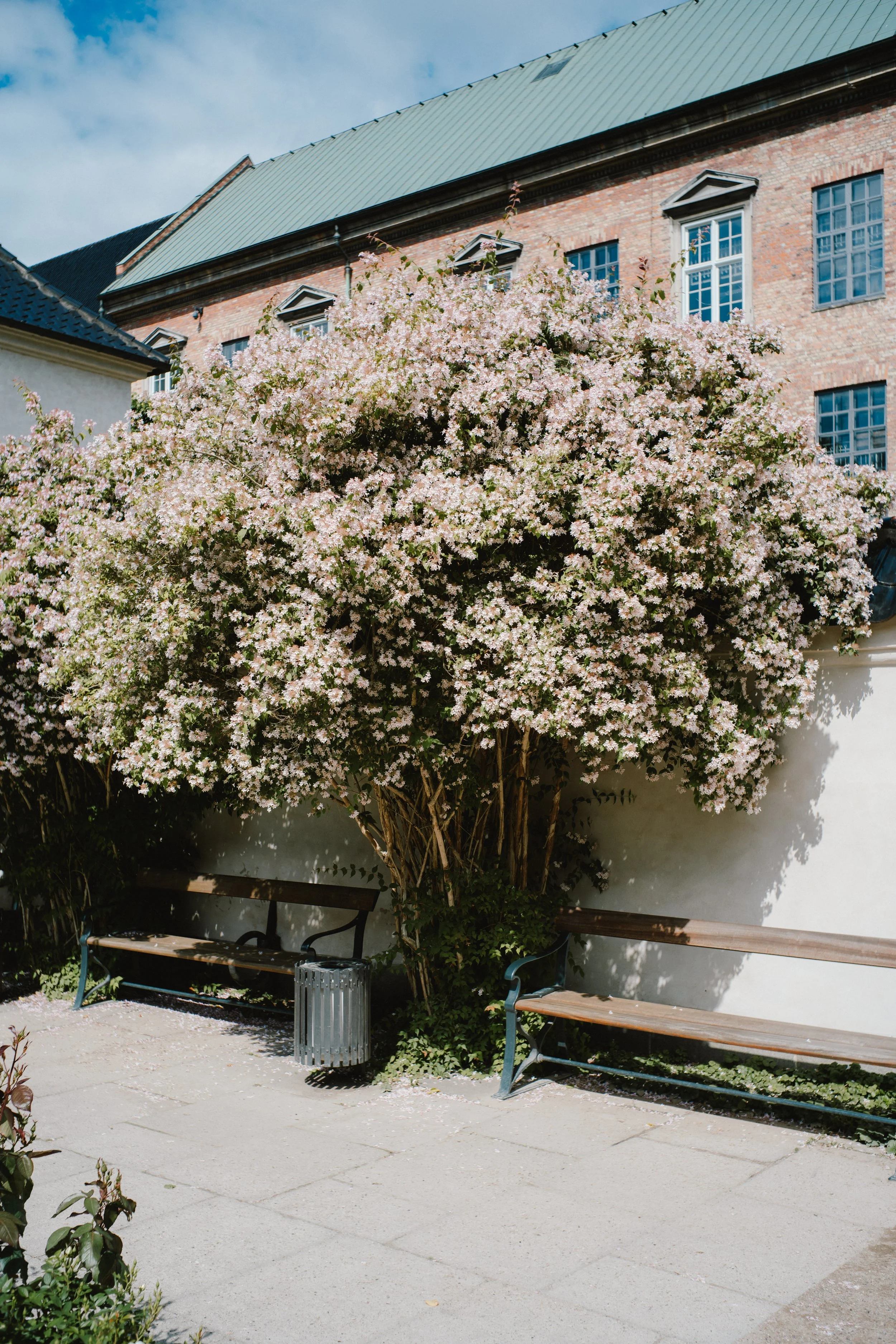 Copenhagen_Mandler35_Full (1 of 1)-5.jpg