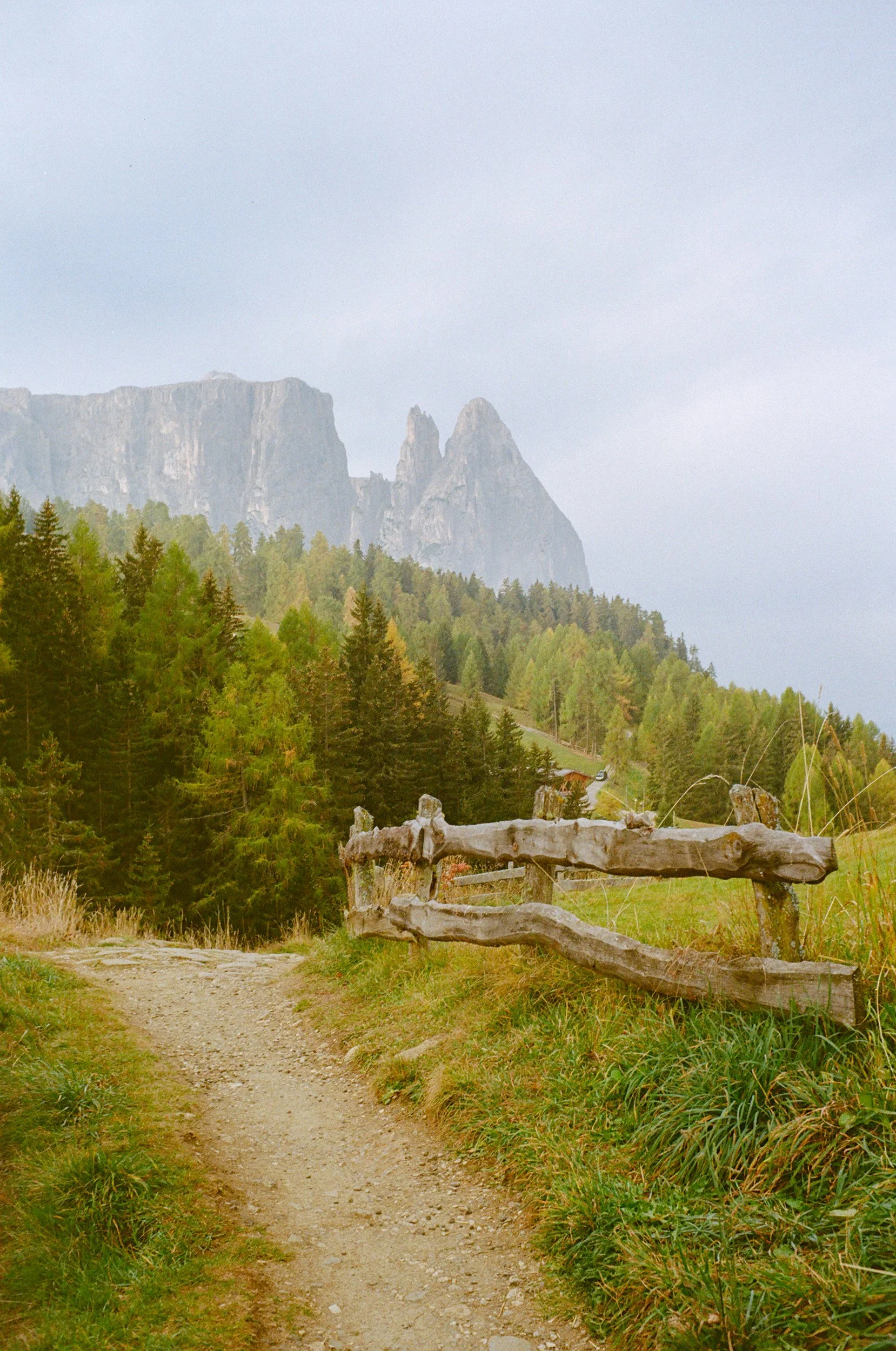 Dolomites_Fall_M6 (1 of 1)-6.jpg