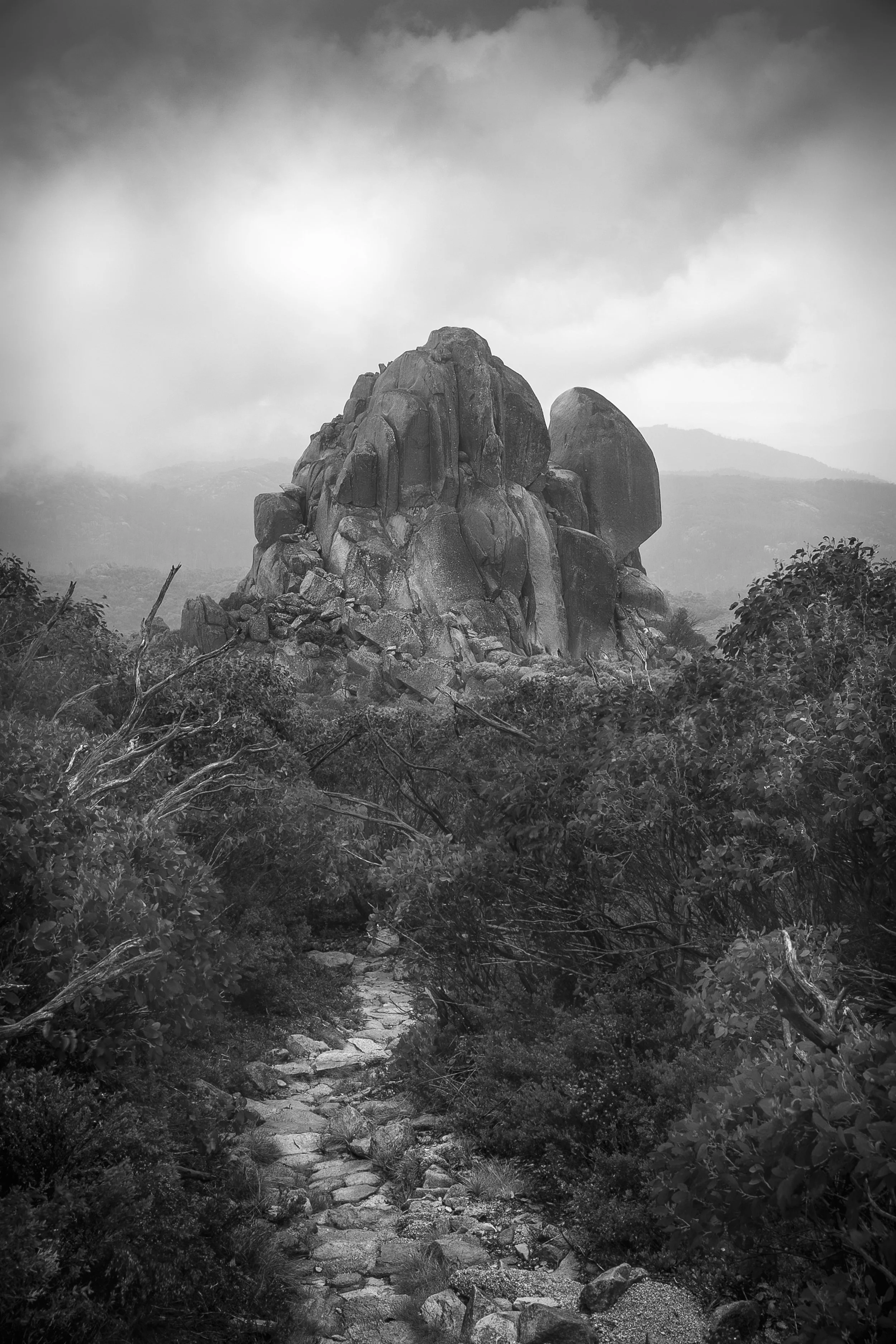 Mt Buffullo custom.jpg