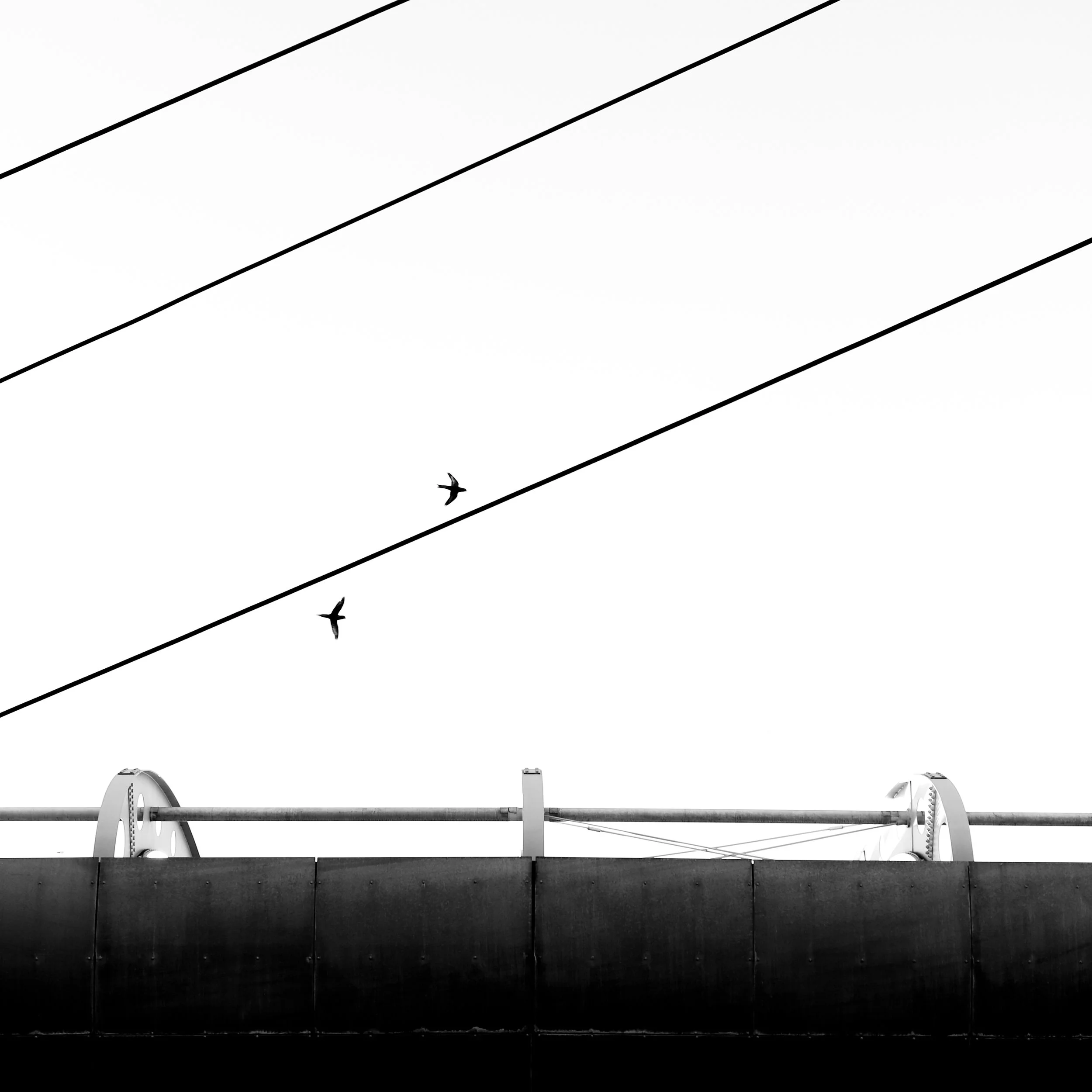 Untitled6-221.jpg