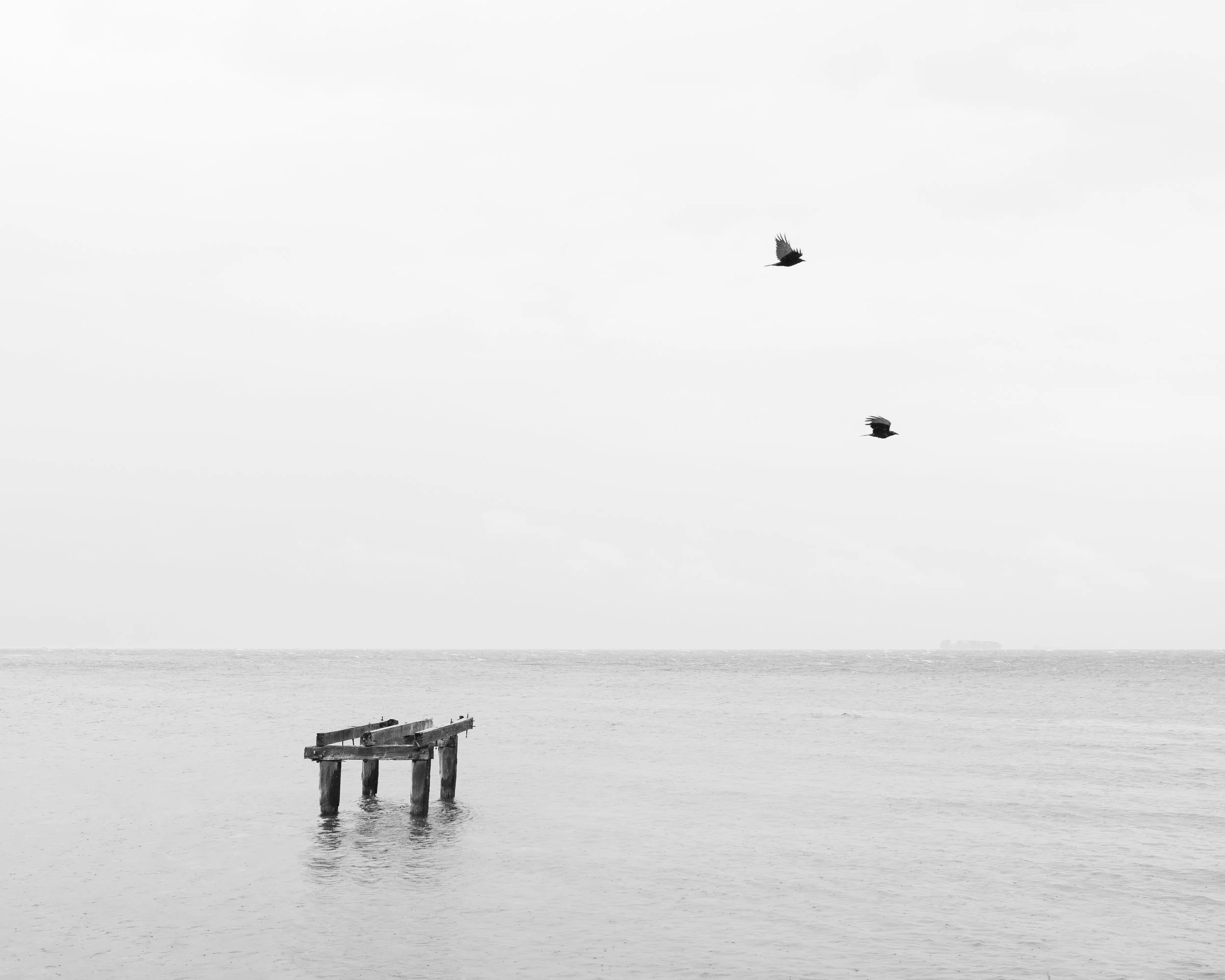 FS0A7685.jpg