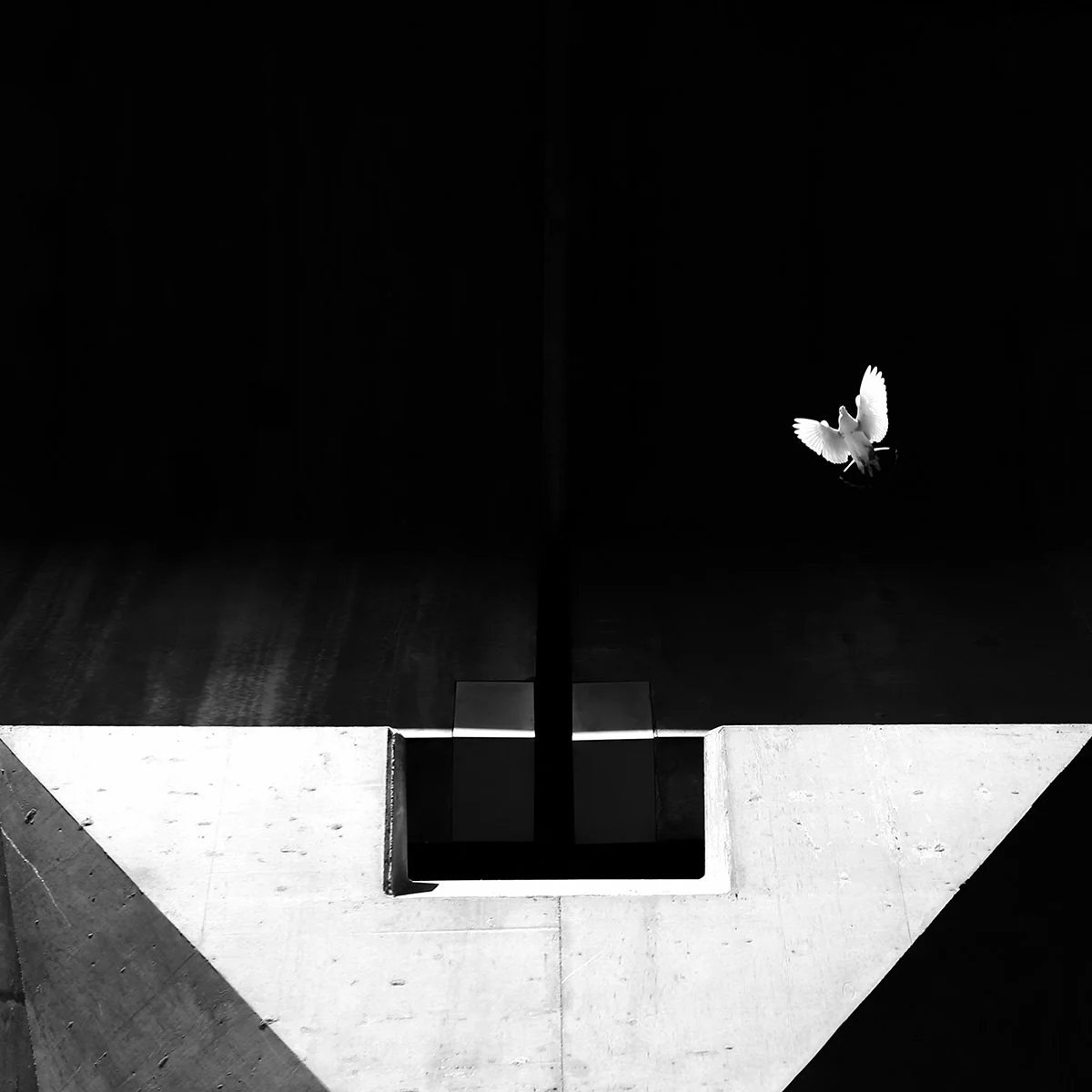 Buiilt and Grown.jpg