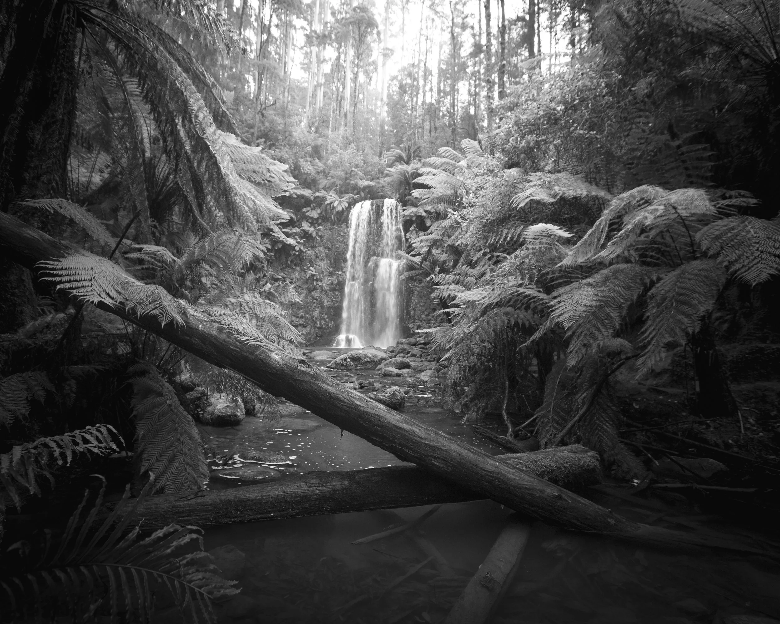 Portrait Ian Callaghan-71.jpg