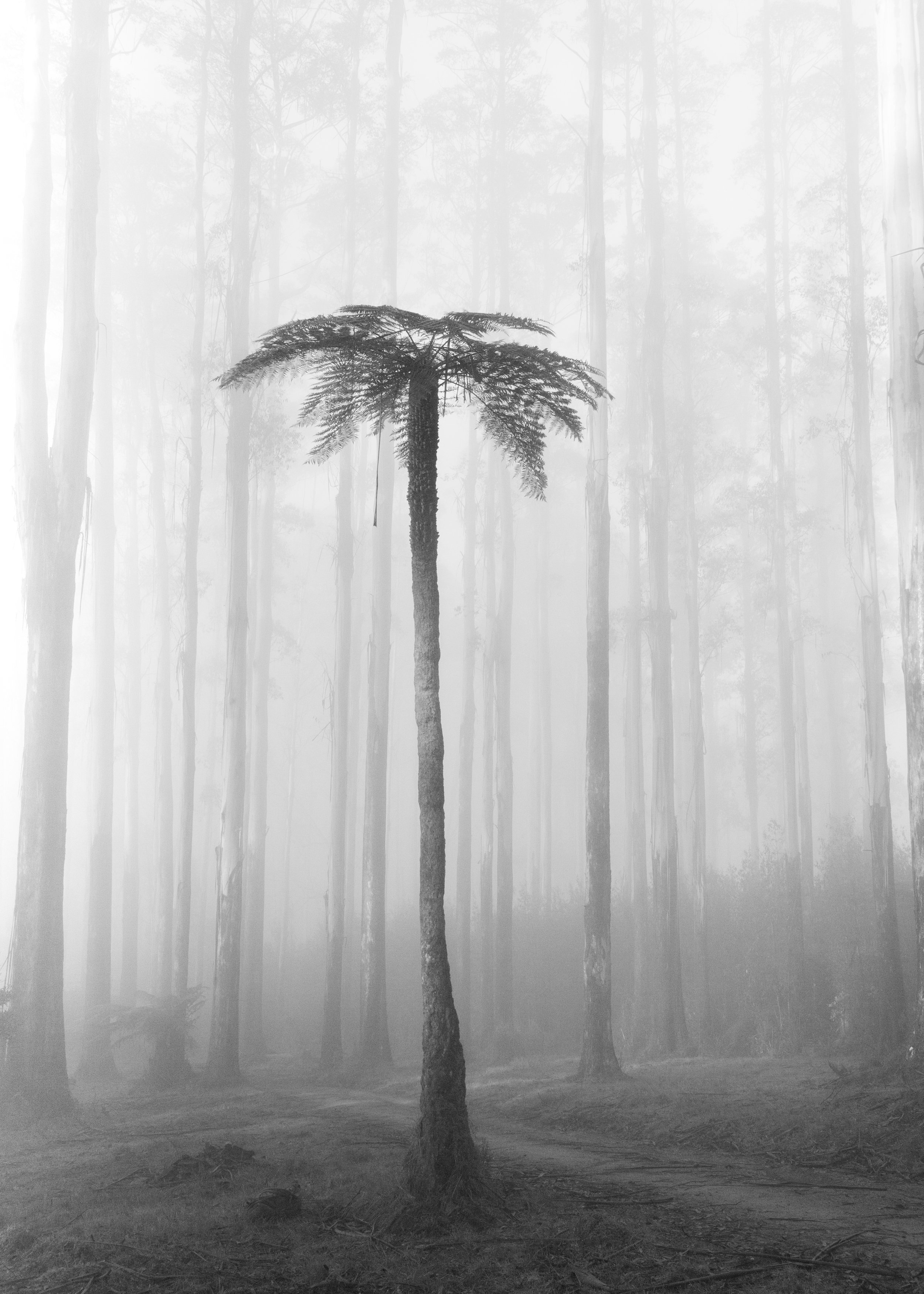 Portrait Ian Callaghan-69.jpg