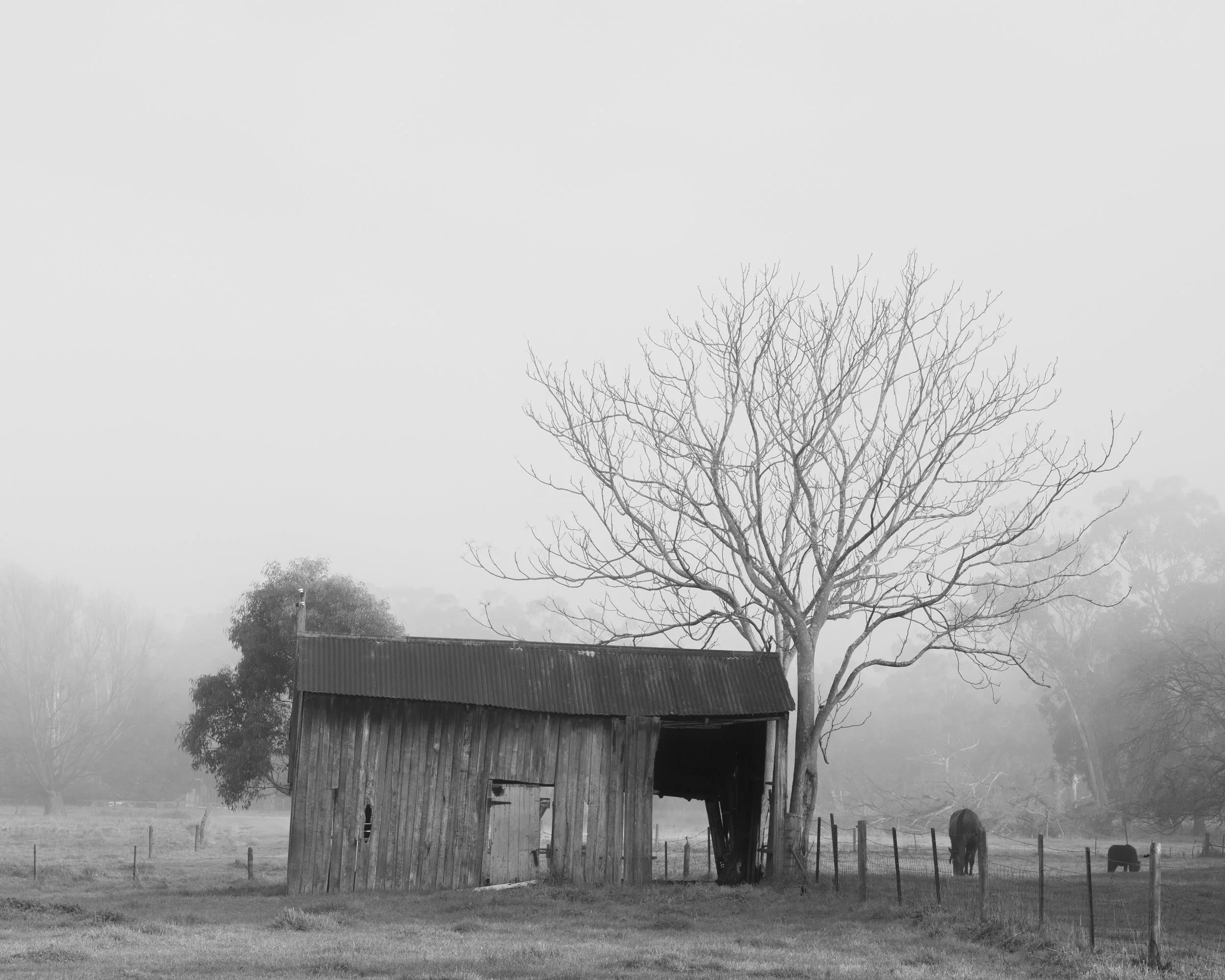 Portrait Ian Callaghan-30.jpg