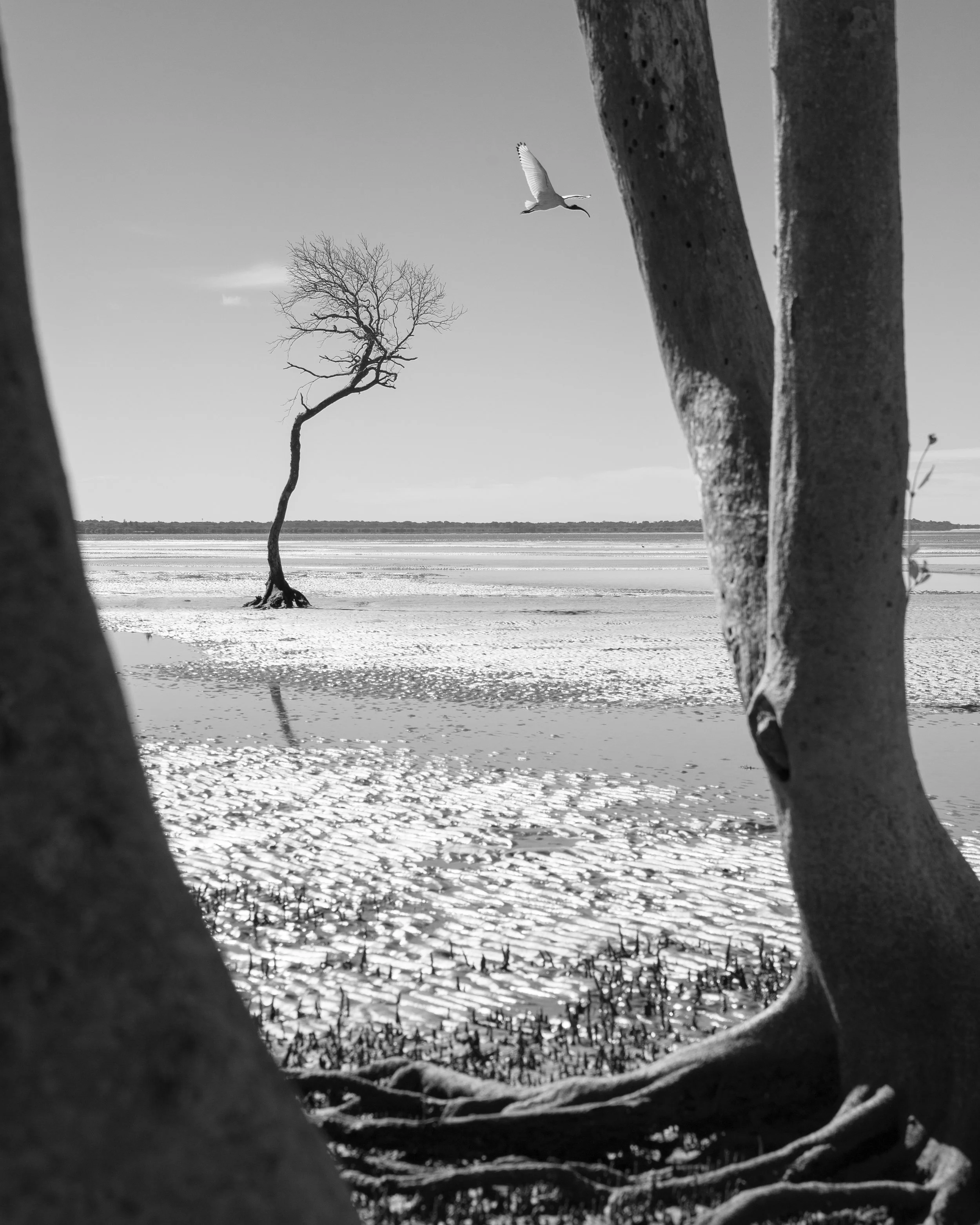 Portrait Ian Callaghan-4.jpg