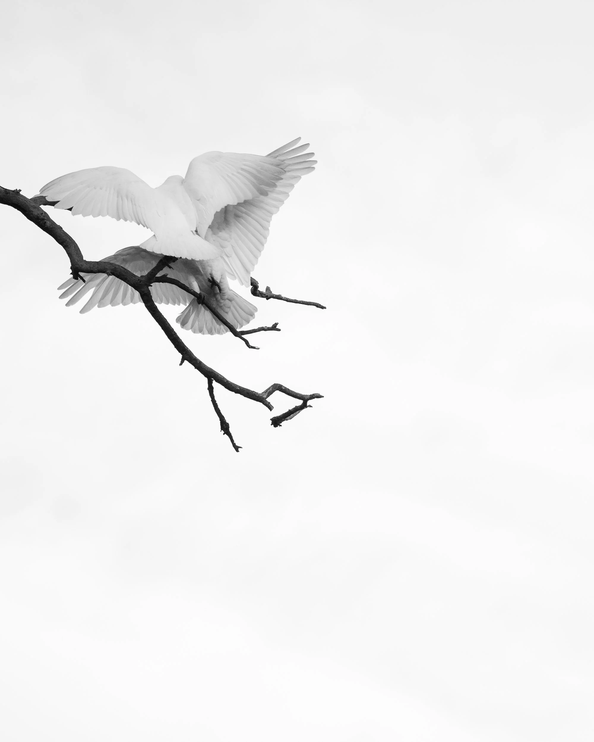 FS0A4859-5.jpg