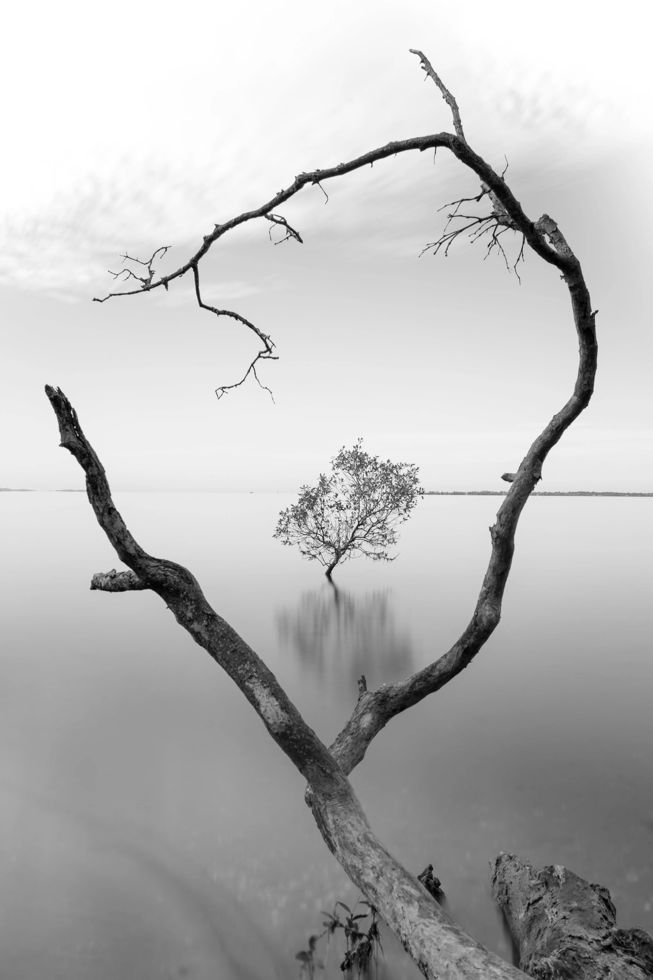 Portrait Ian Callaghan-3.jpg