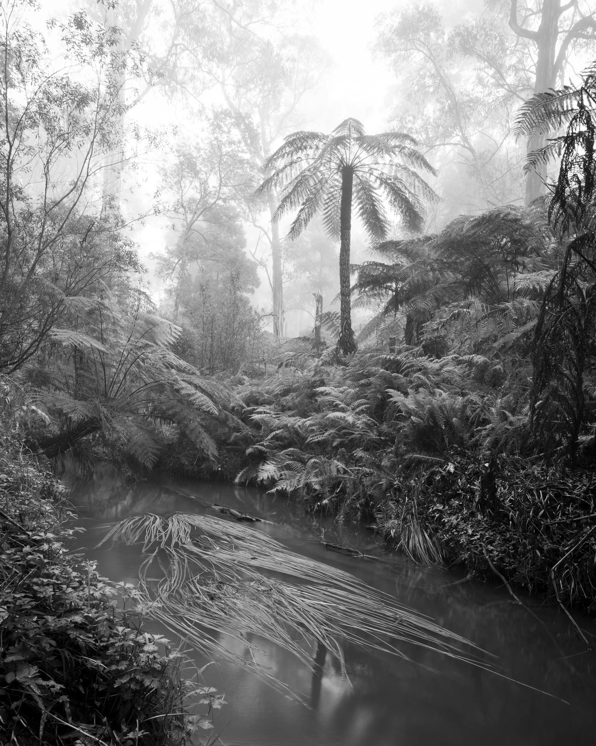 Portrait Ian Callaghan-63.jpg