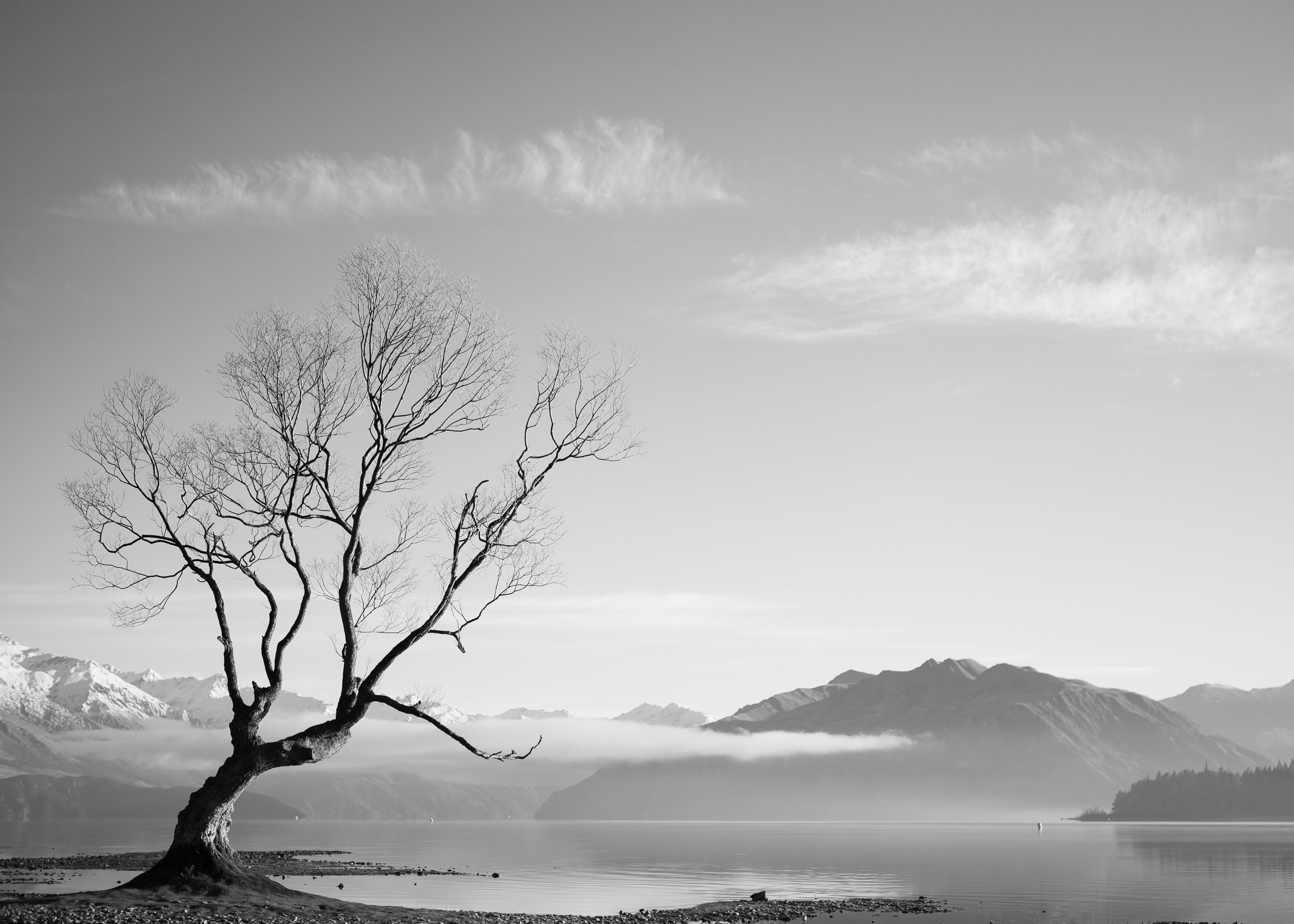 Untitled6-161.jpg