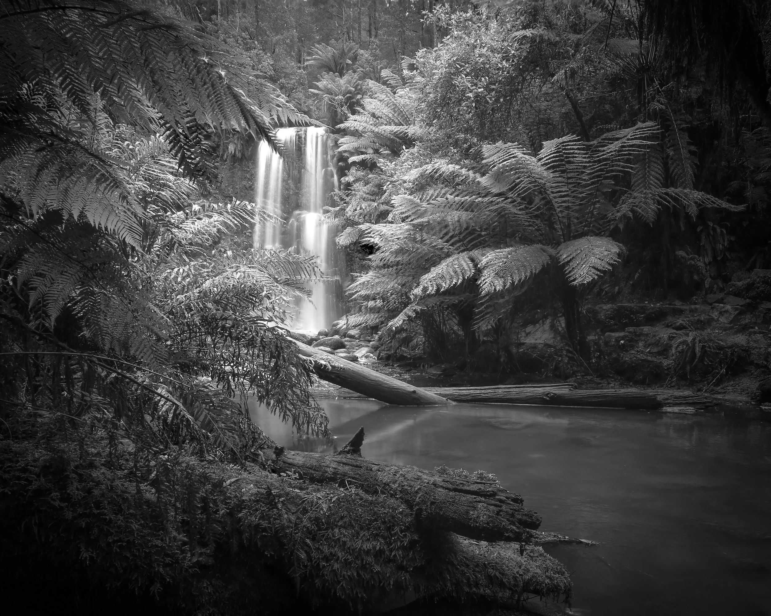 Untitled-1-2.jpg