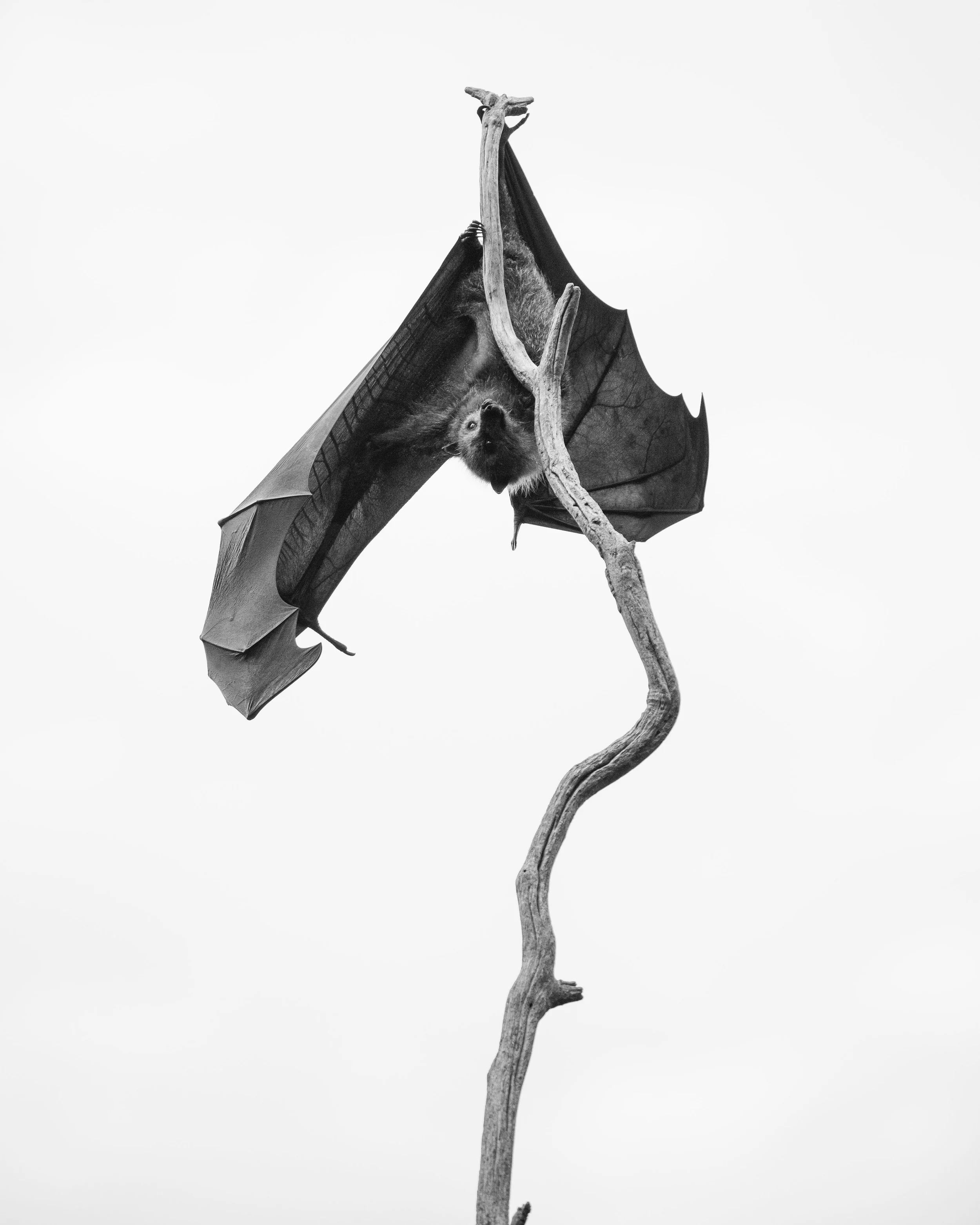 FS0A0823.jpg