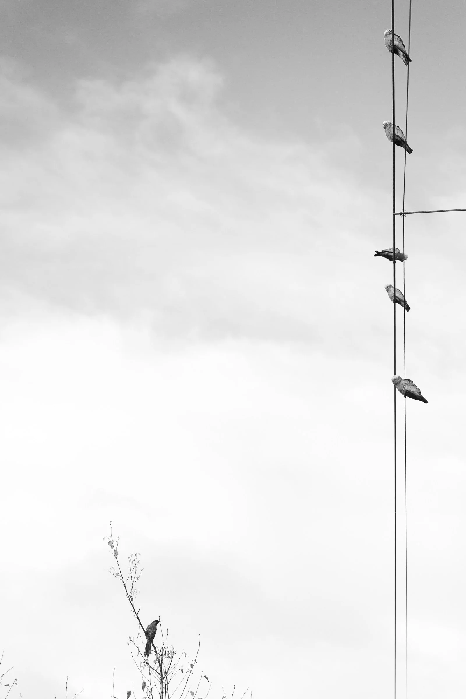 Personal Preference.jpg