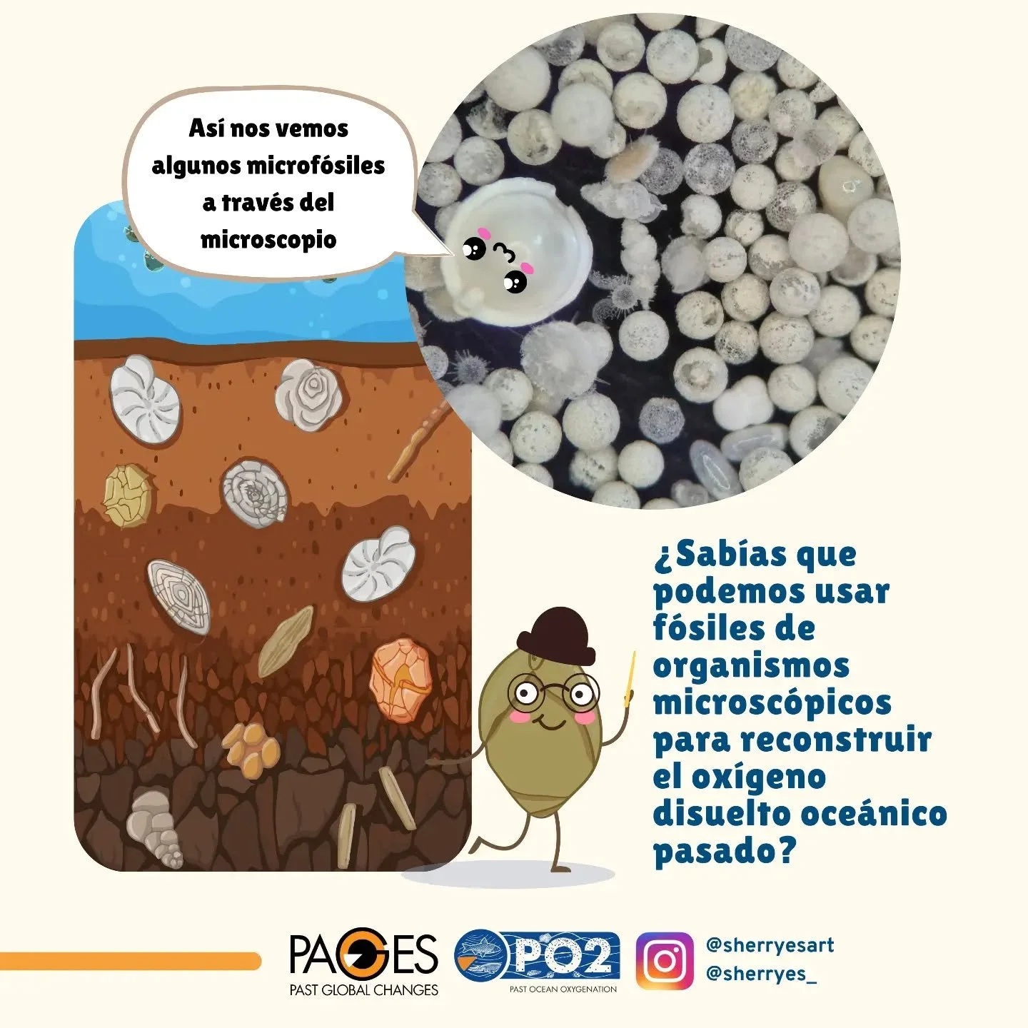 Como ws viernes de #fossilfriday ¡queremos contarles acerca de los microfósiles!! 🤔¿Sabías que podemos usar microorganismos fósiles para la reconstrucción de Oxigeno oceanico en el pasado? ¿Cuál