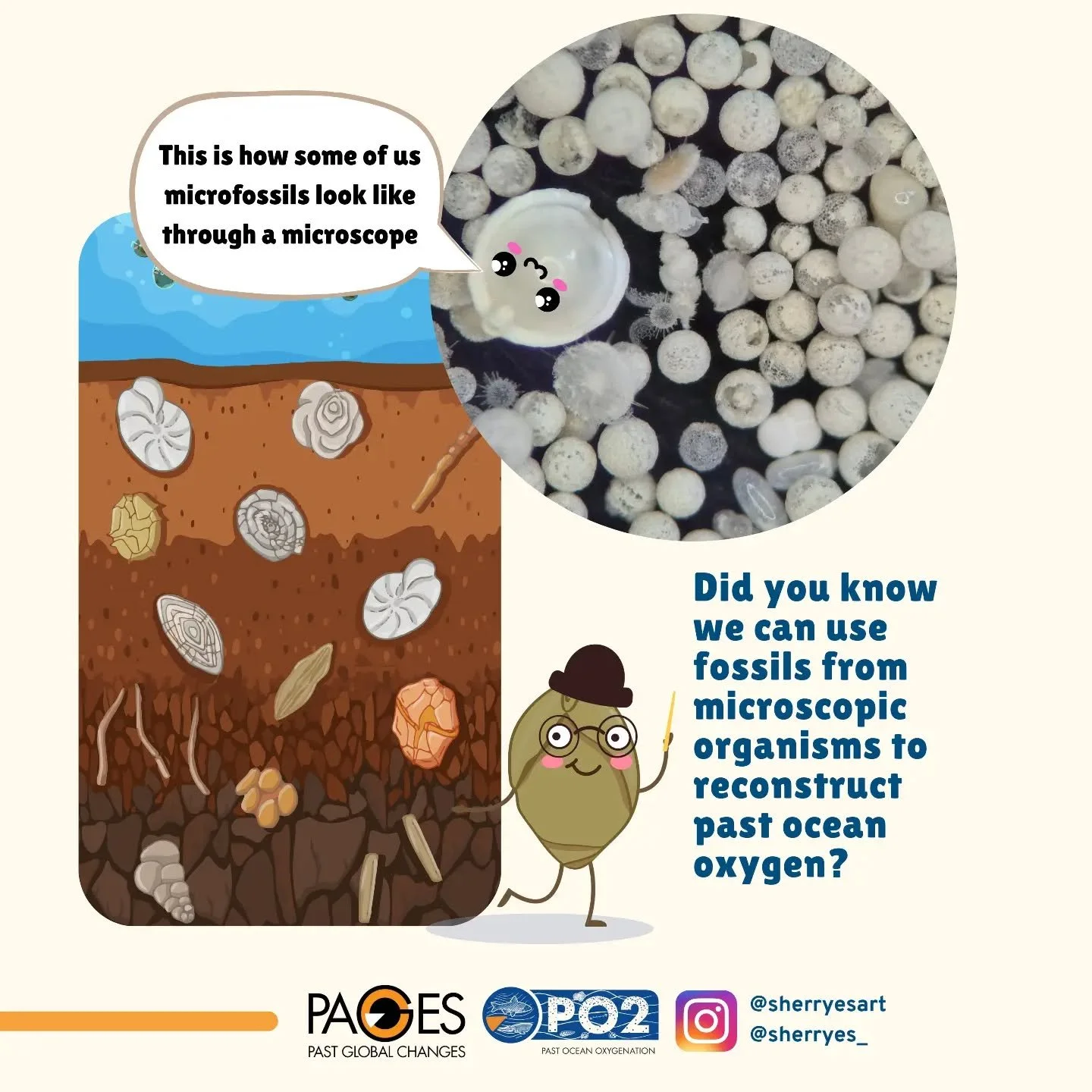 🌊🫧 Hello oxyfriends! 🤔 Did you know we can use fossils from microscopic organisms to reconstruct past ocean oxygen? Which ones do we use? 🧐Microscopic fossils or “microfossils” are really small fossils that we study through a microsco