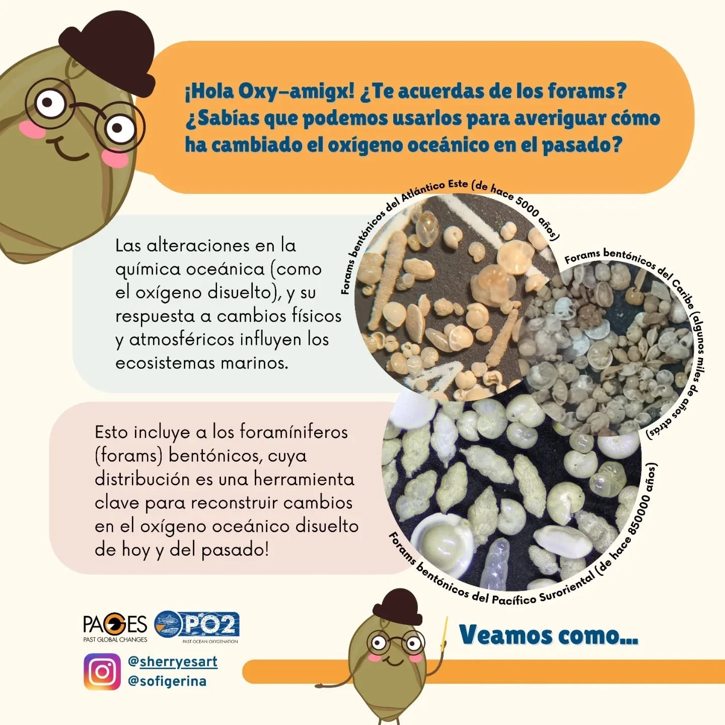 ¡Hola oxiamigx! 🤔¿Te acuerdas de los foraminíferos? ¿Los organismos microscópicos unicelulares que viven en la columna de agua (planctónicos) o en el suelo marino (bentónicos) y que producen una concha