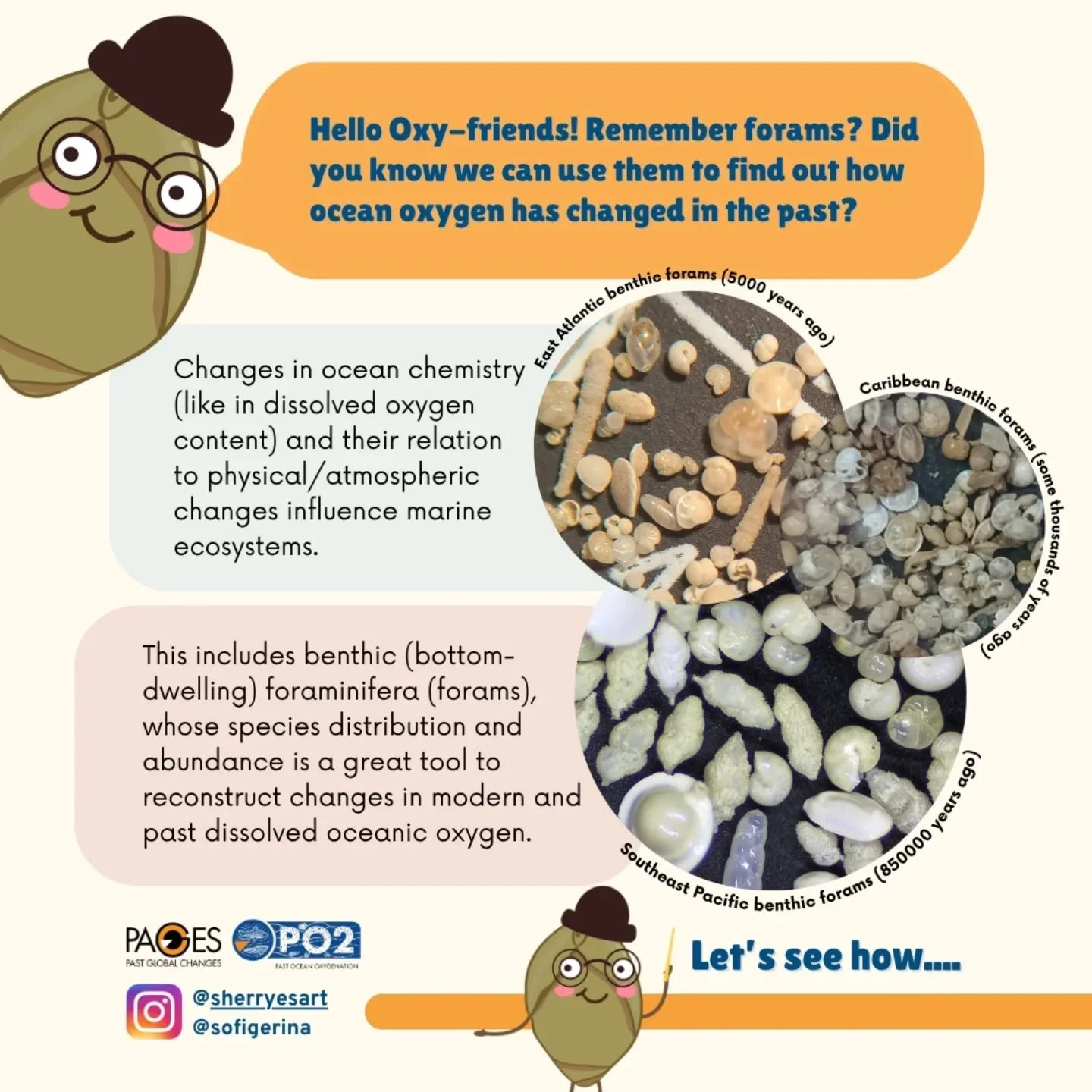 🌊 Hello oxy-friends! 🤔 we are on a #foramfriday strike: Do you remember foraminifera? The microscopic single-celled organisms that live in the water column (planktonic) or on the seafloor (benthic) and produce a hard shell around their cells that f