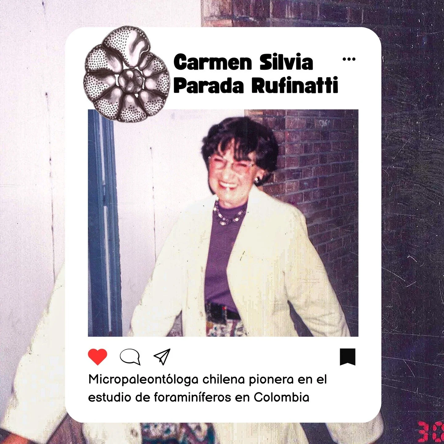 No todos los f&oacute;siles son grandes, de hecho hay f&oacute;siles tan peque&ntilde;os, que para estudiarlos necesitamos un microscopio. A esta rama de la Paleontolog&iacute;a se le conoce como Micropaleontolog&iacute;a, y hoy queremos contarles la