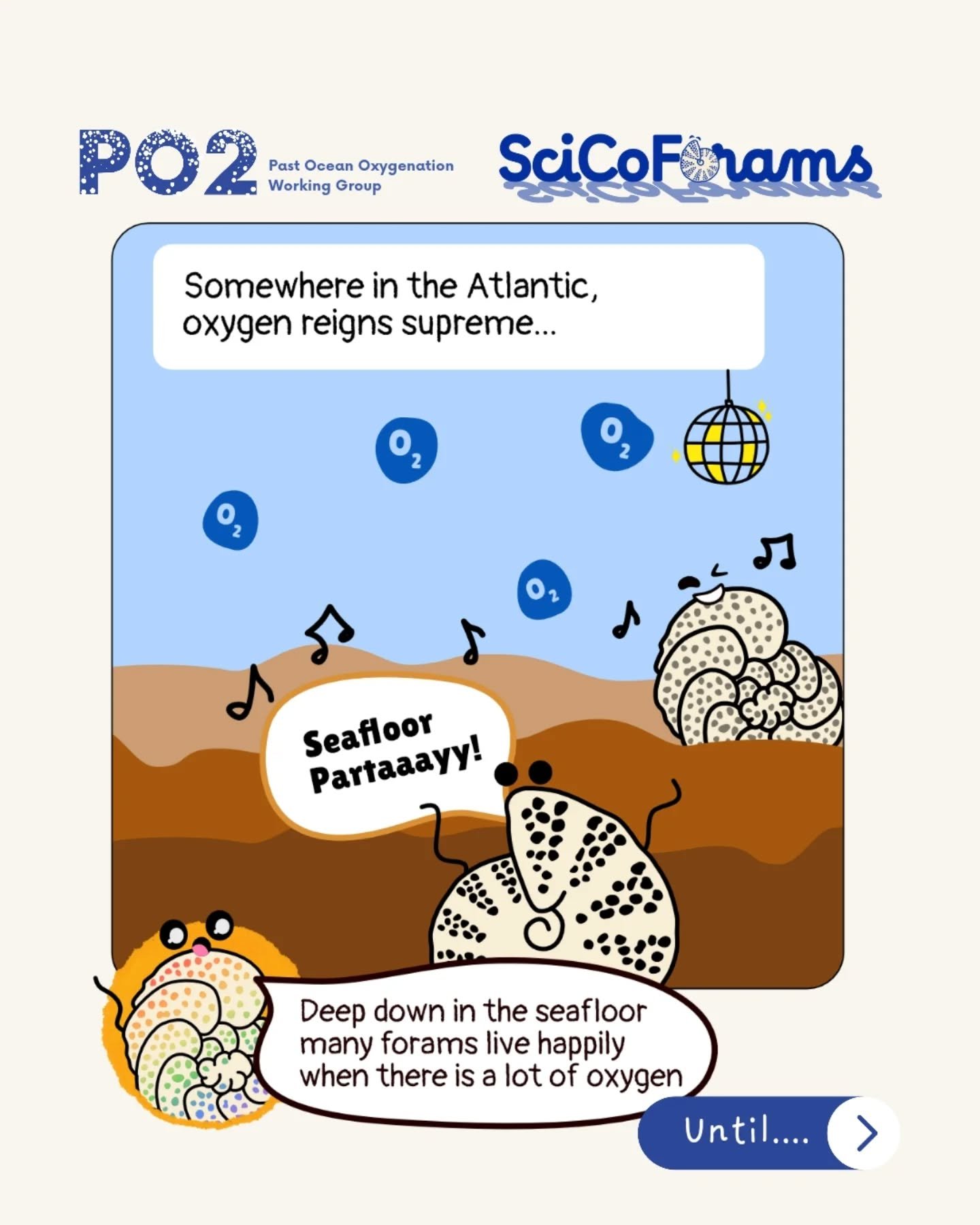 🍵🫧Nitra-tea anyone? Today, we are introducing one of our favorite benthic foraminifera, first name: Melonis; last name: barleeanus. Or Mel for short 🐚🔬

This foraminifera is a resilient one.  Unlike other forams that prefer oxygenated bottom wate
