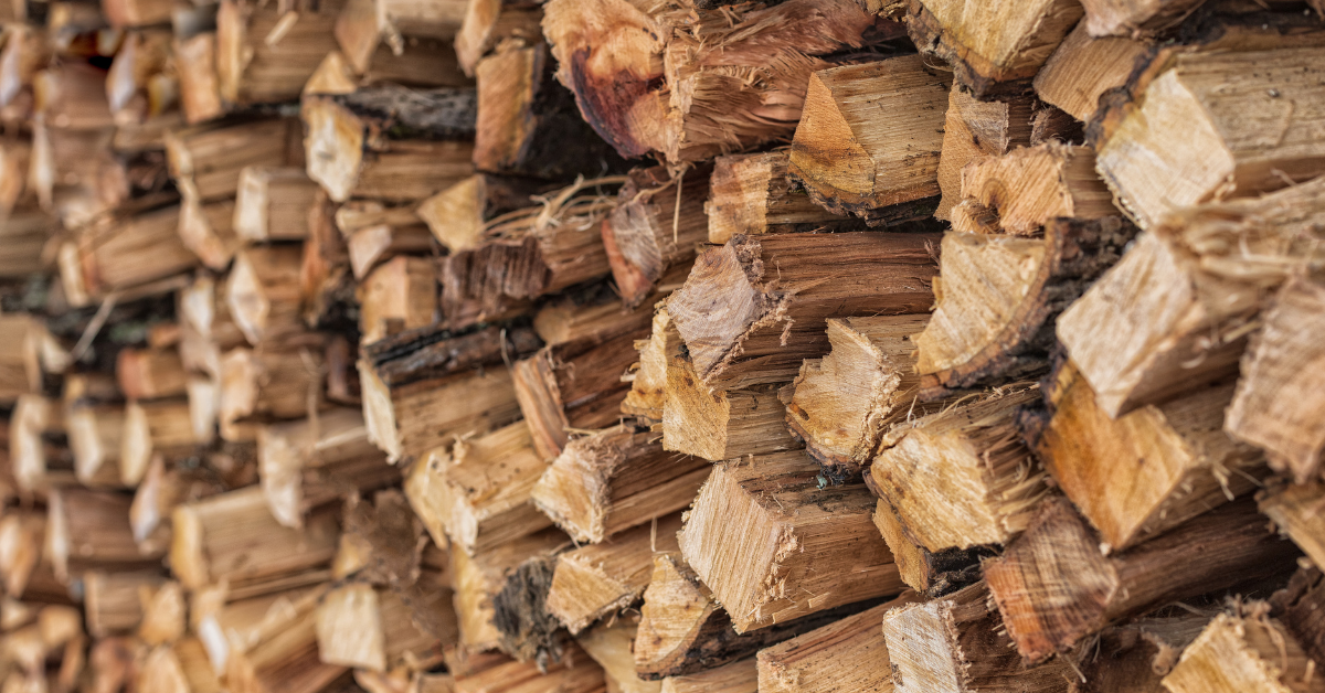 The Wood