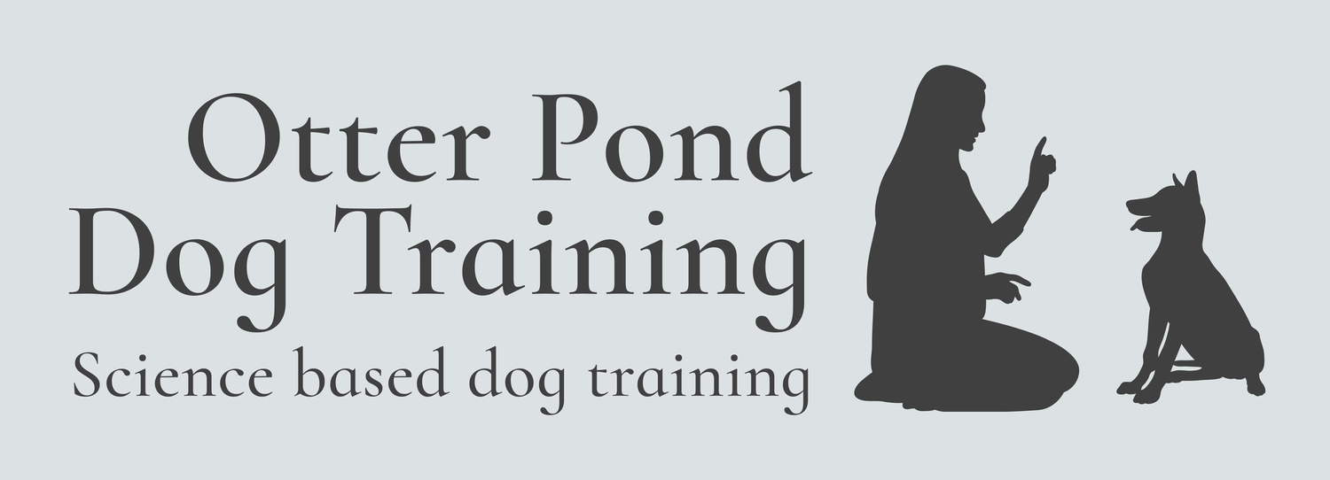 Otter Pond Dog Training