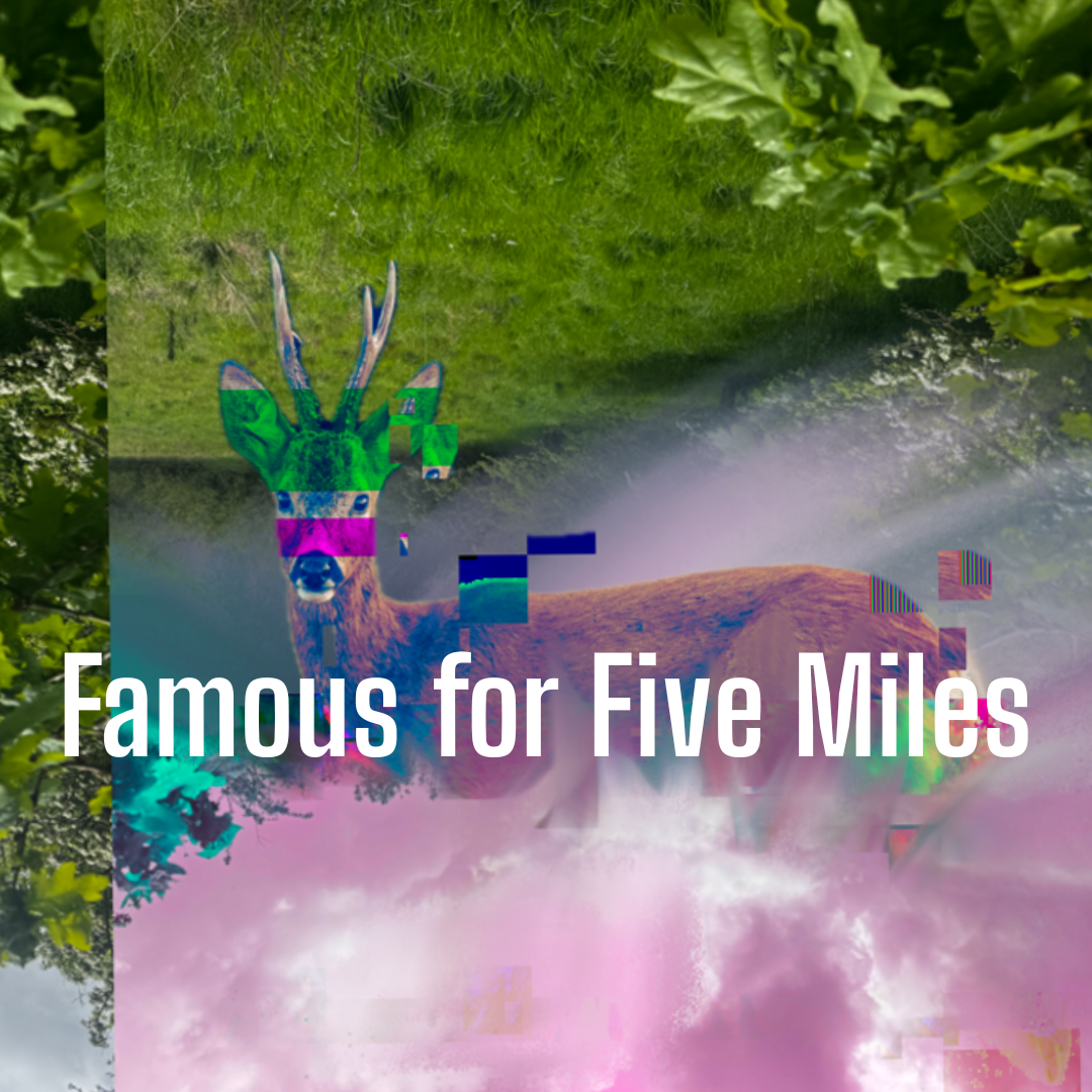 Famous for Five Miles Bristol Gathering