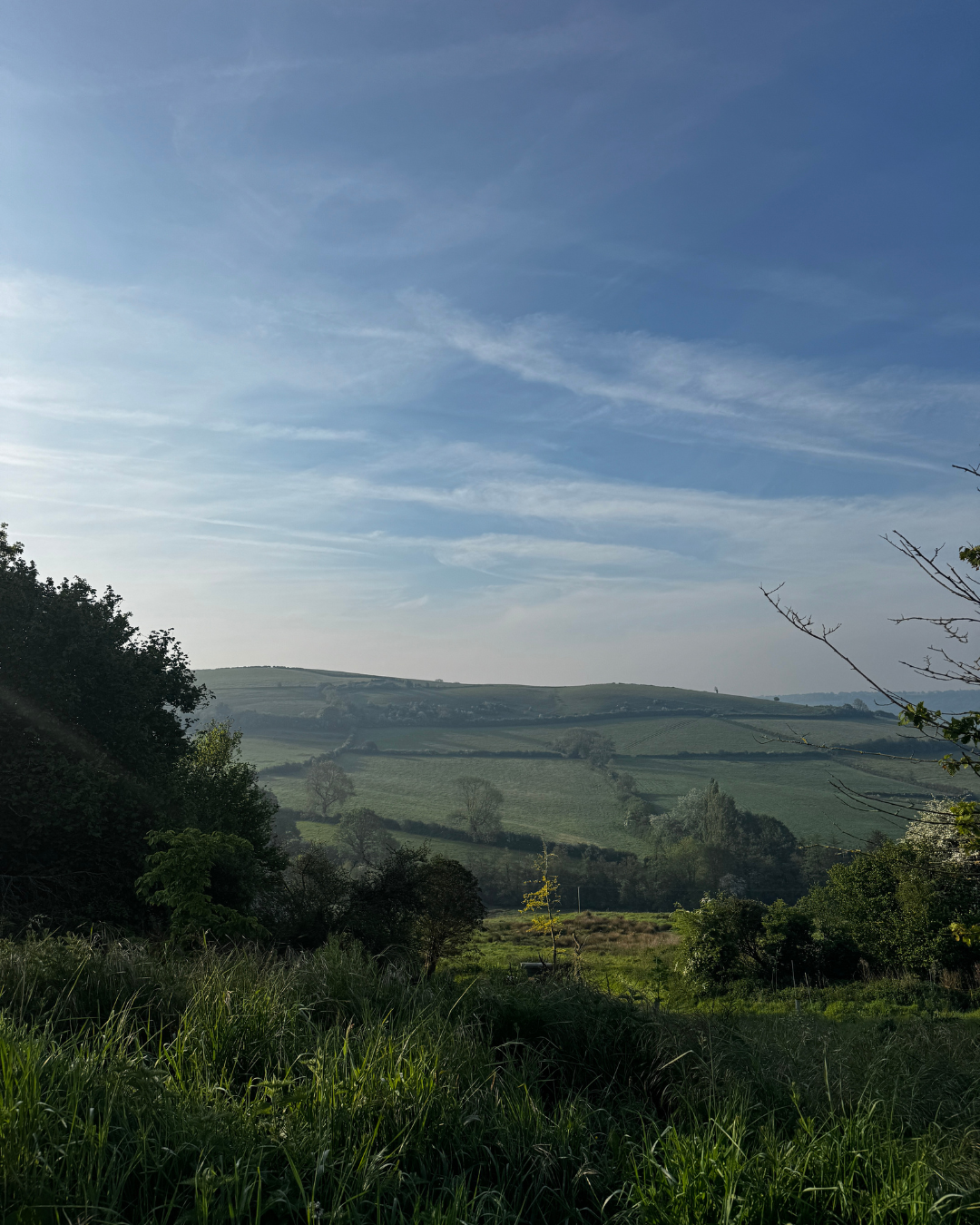 Ghostwood Down Day