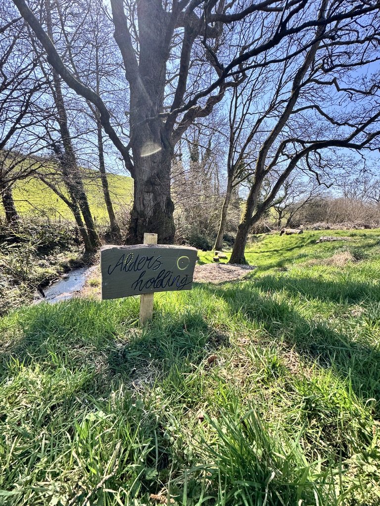 64349AE4-AF25-4122-9971-439FAE991313_1_105_c.jpeg