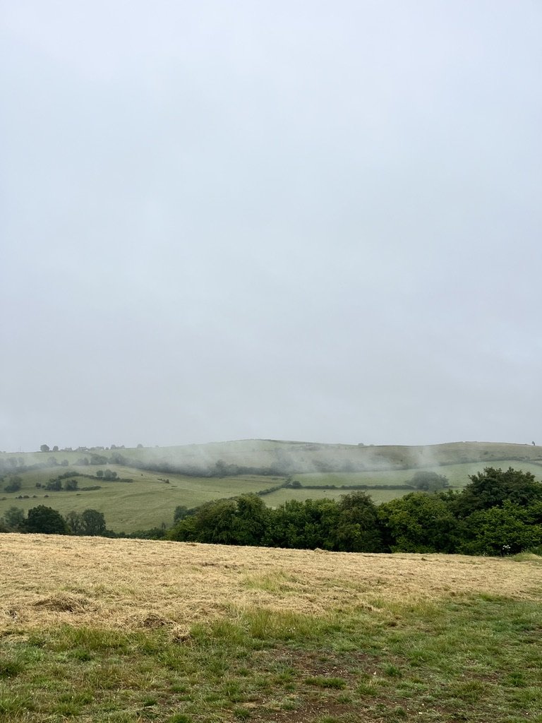70E3B006-C273-44EC-97B3-5150E6175714_1_105_c.jpeg