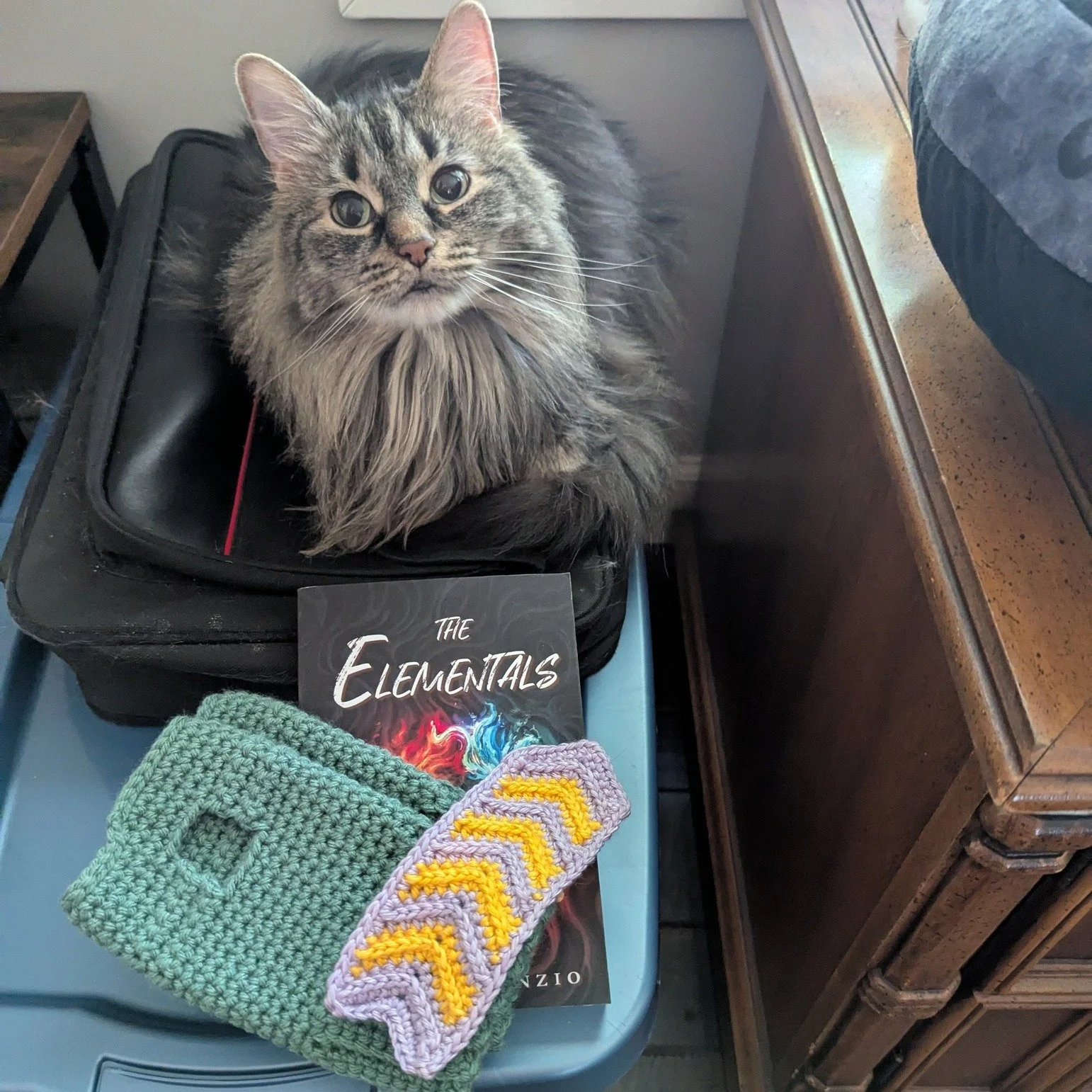 Get your very own book bundle*, complete with handmade wrist warmers and a bookmark, at the Readers and Writers Rendezvous in Peoria, IL on September 27!
*cat not included in bundle

 #authorfair #fallevents #yournextreadawaits #bookhaul #booksigning