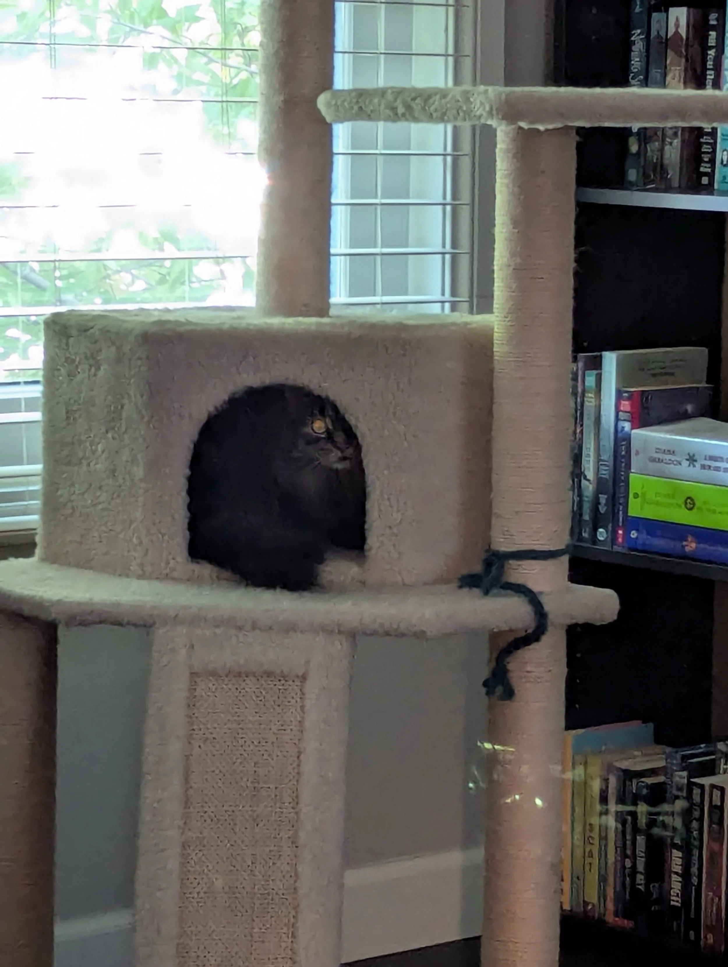Someone is watching me&hellip;