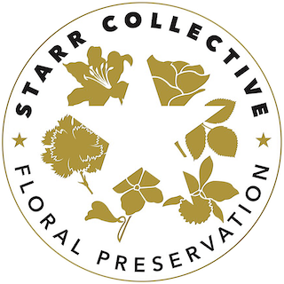 STARR COLLECTIVE