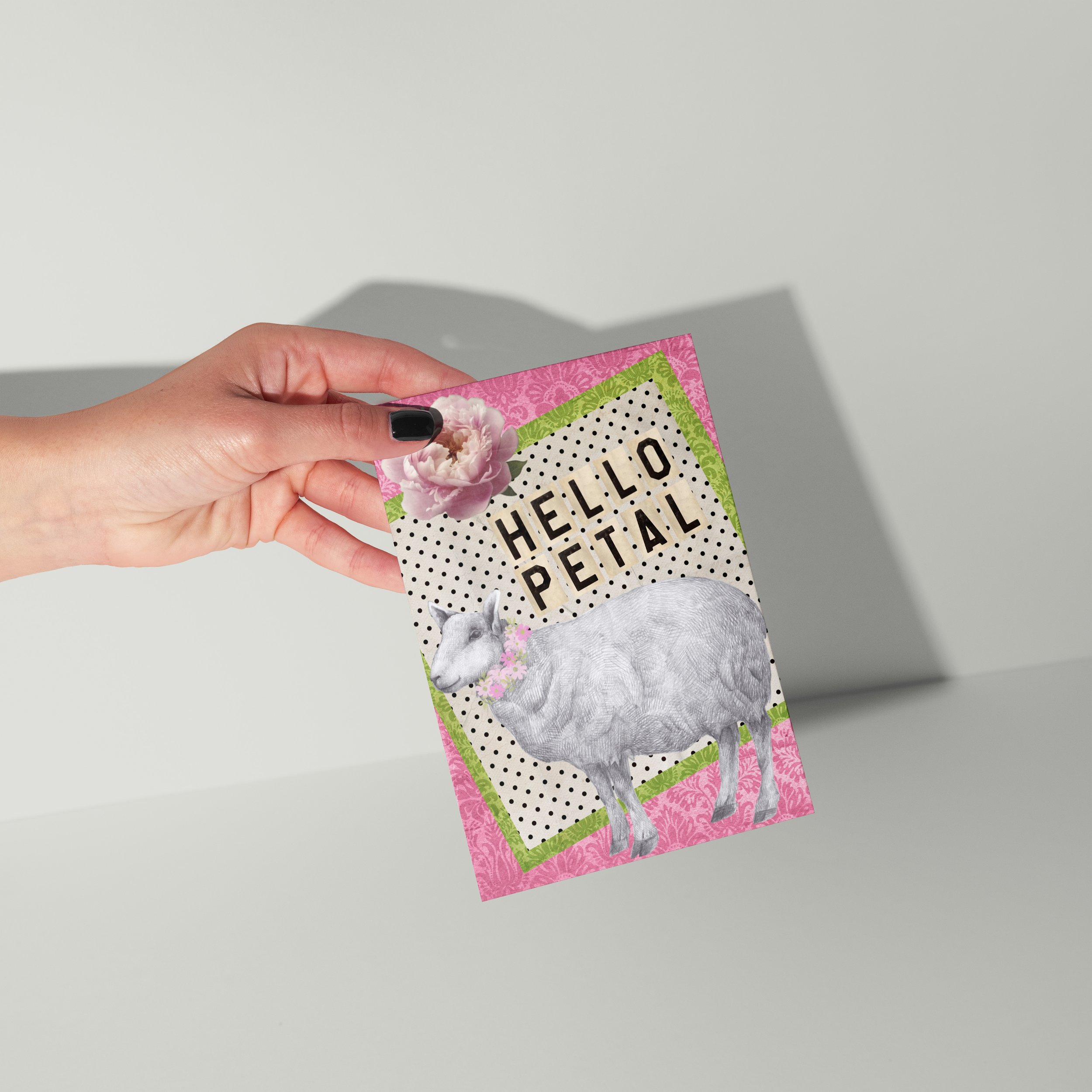 8@designHello_Petal.jpg