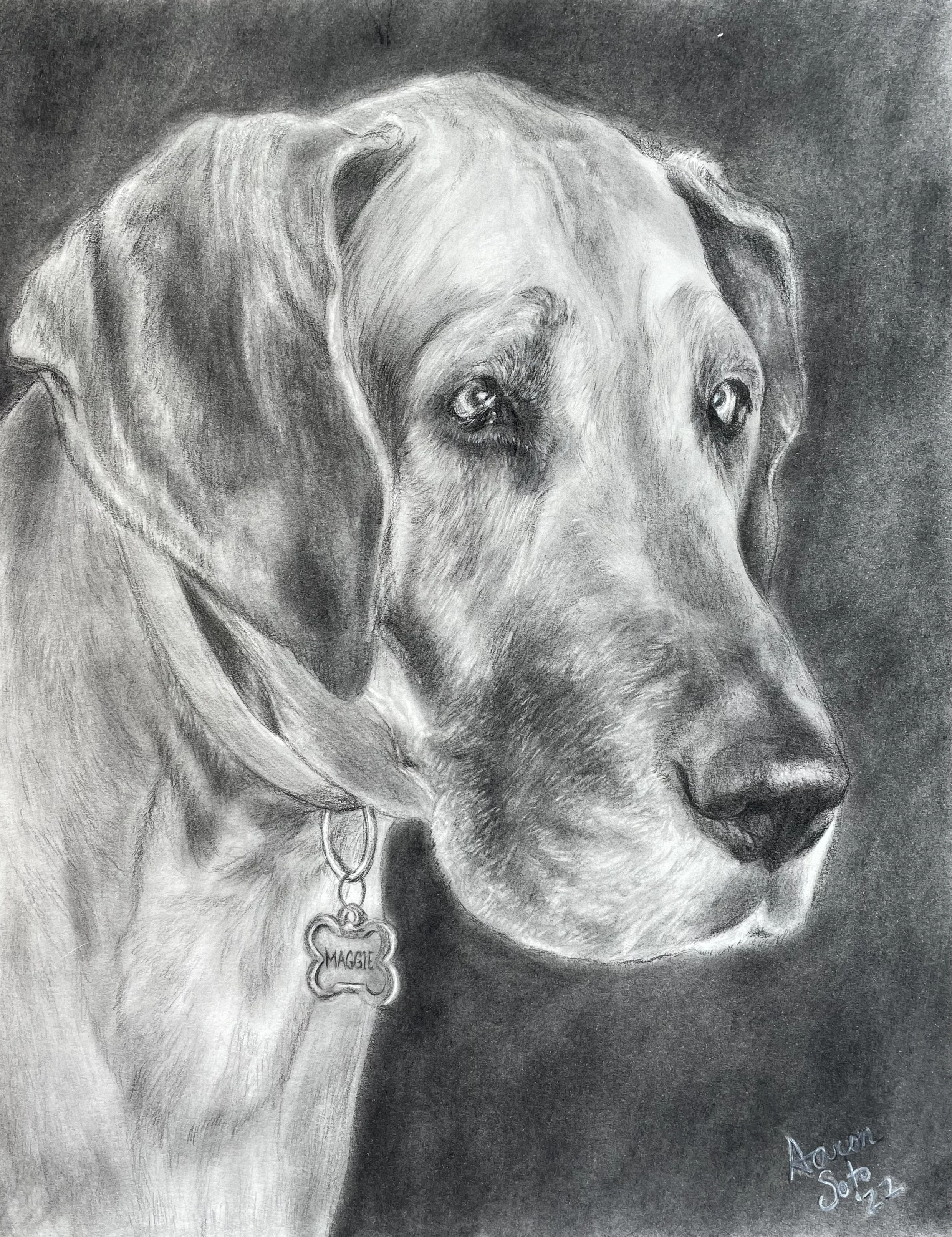 MaggieCommission.jpg