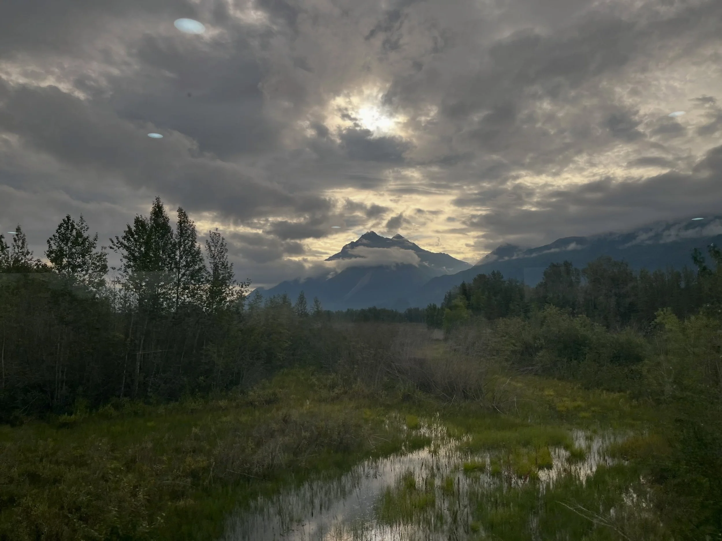 Last look Alaska: Some further highlights from my research trip. 🫎🧠🔂