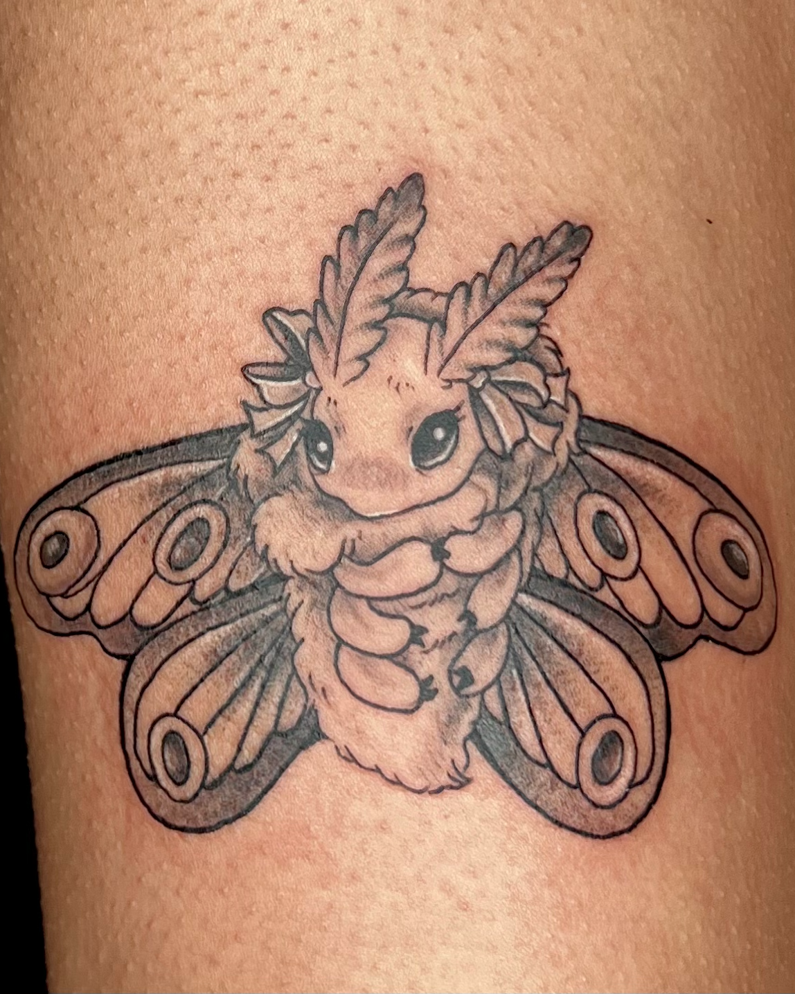 Fresh Tattoo Black and grey Illustrative of a cute fluffy moth
