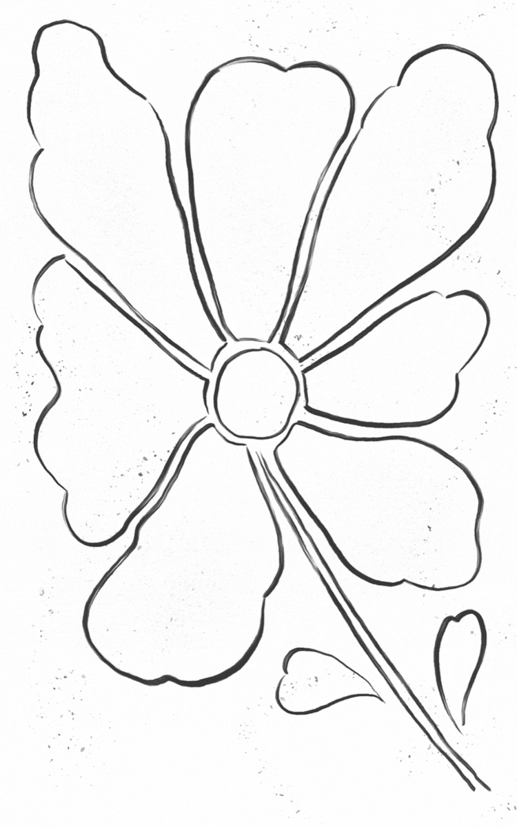 Casa Wellness | Journal Illustrations