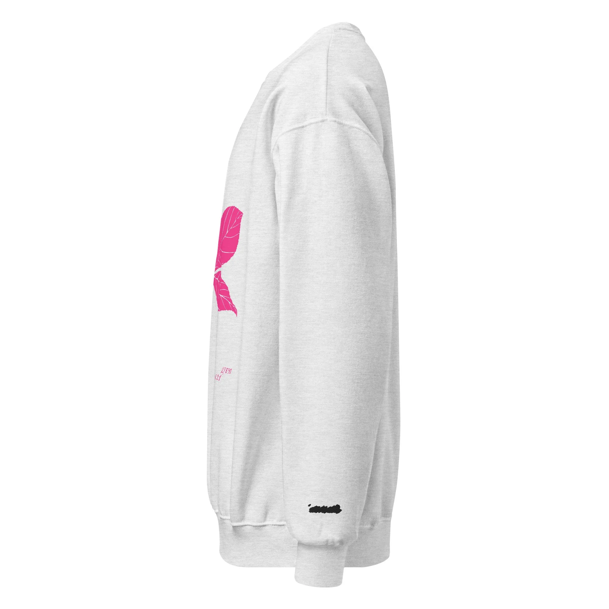 unisex-nublend-sweatshirt-ash-left-6ac8f5b6d7d07.jpg