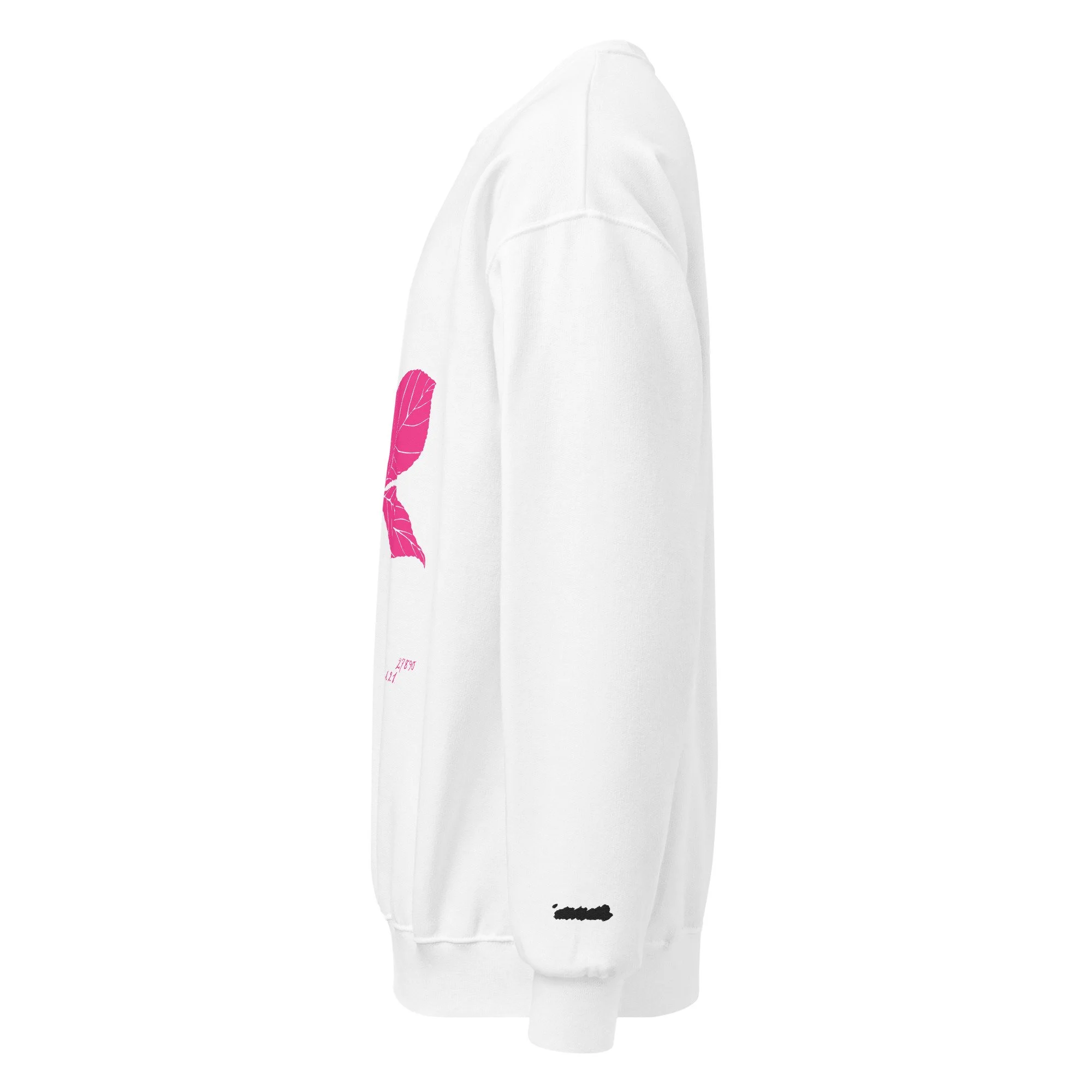 unisex-nublend-sweatshirt-white-left-6ac8f5b6d8116.jpg
